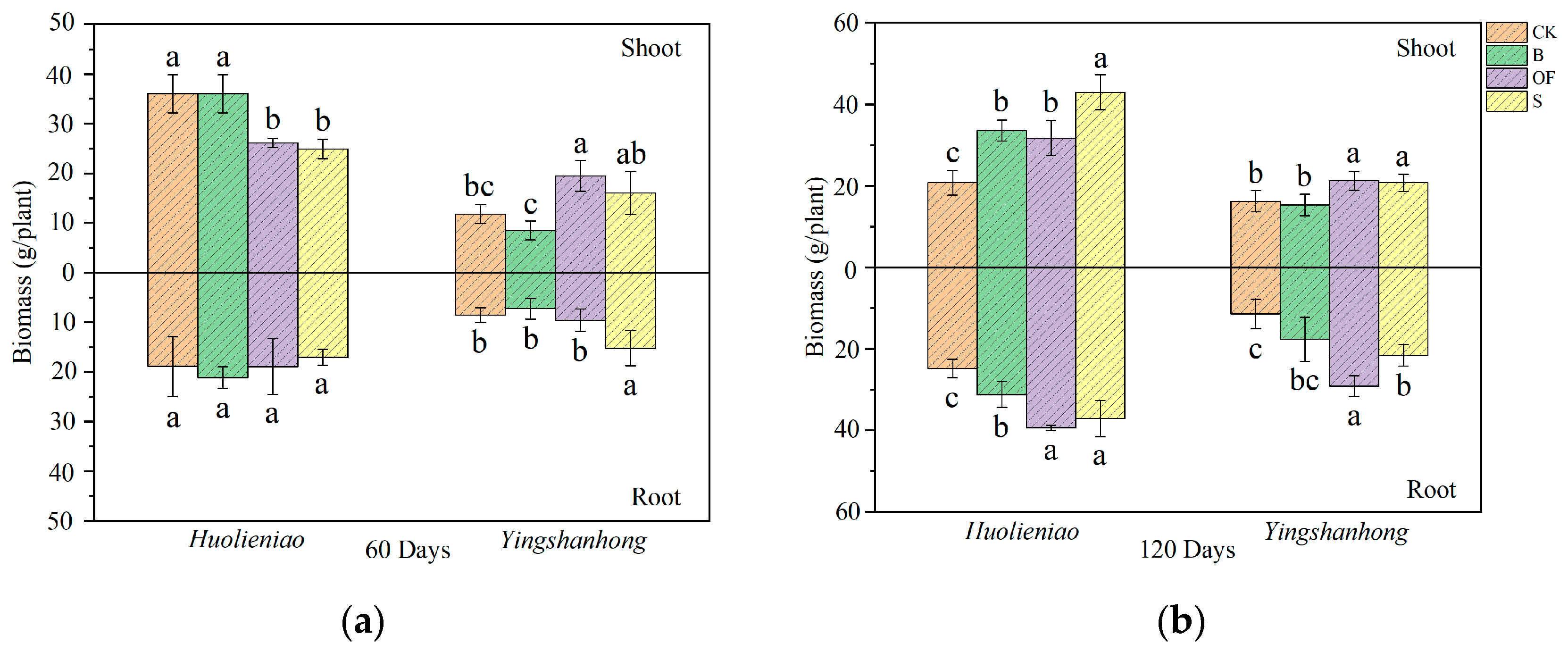 Plants 13 00891 g005