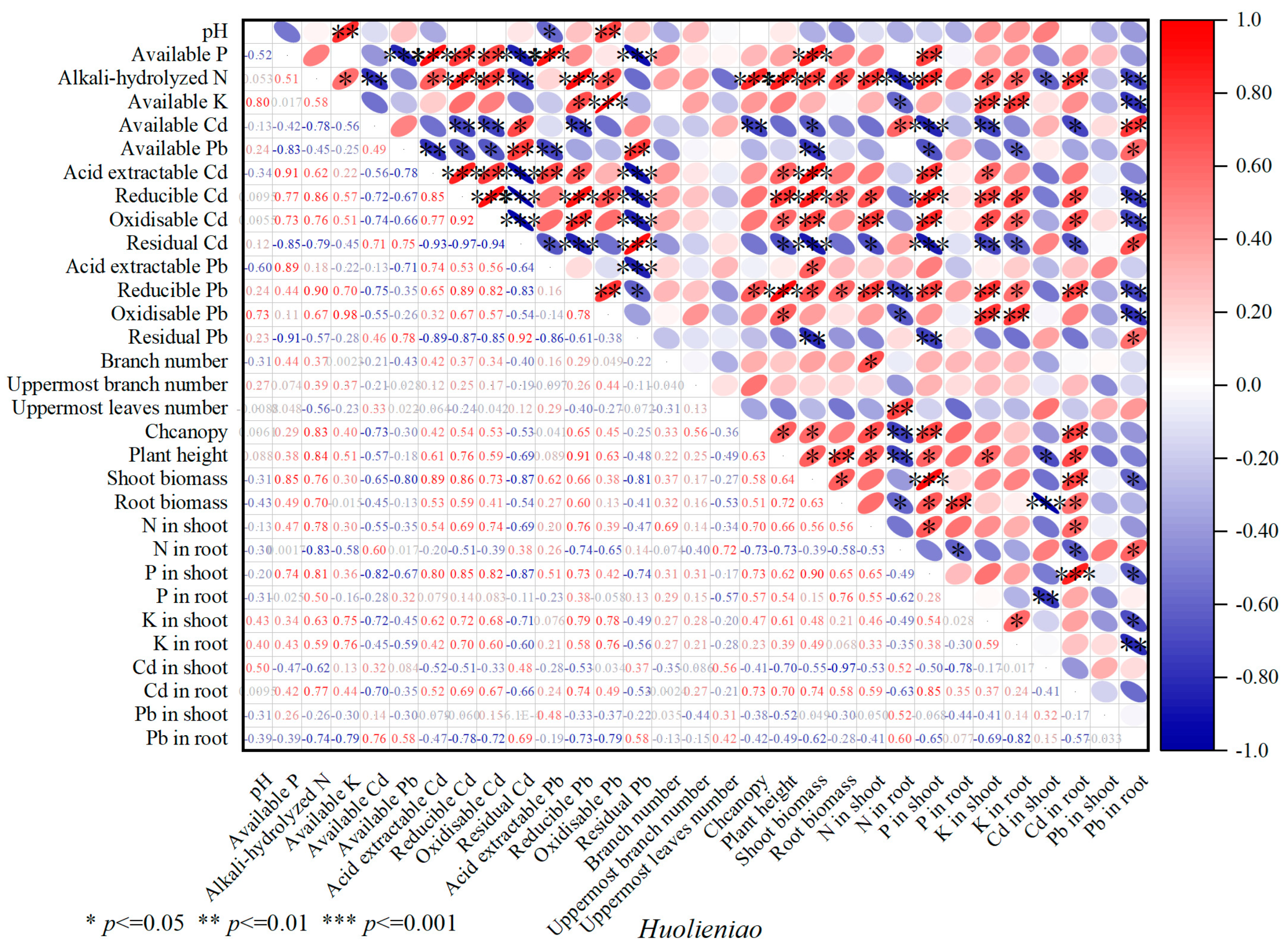 Plants 13 00891 g008