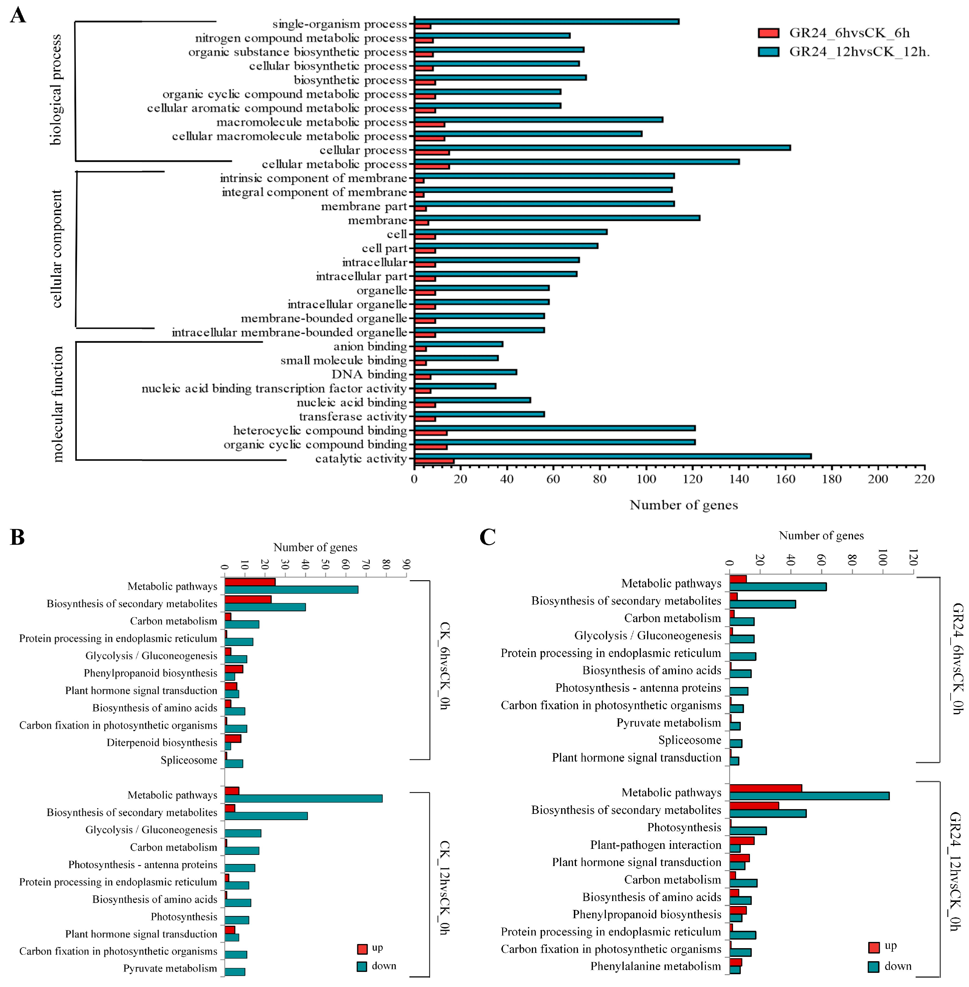 Plants 13 00899 g004