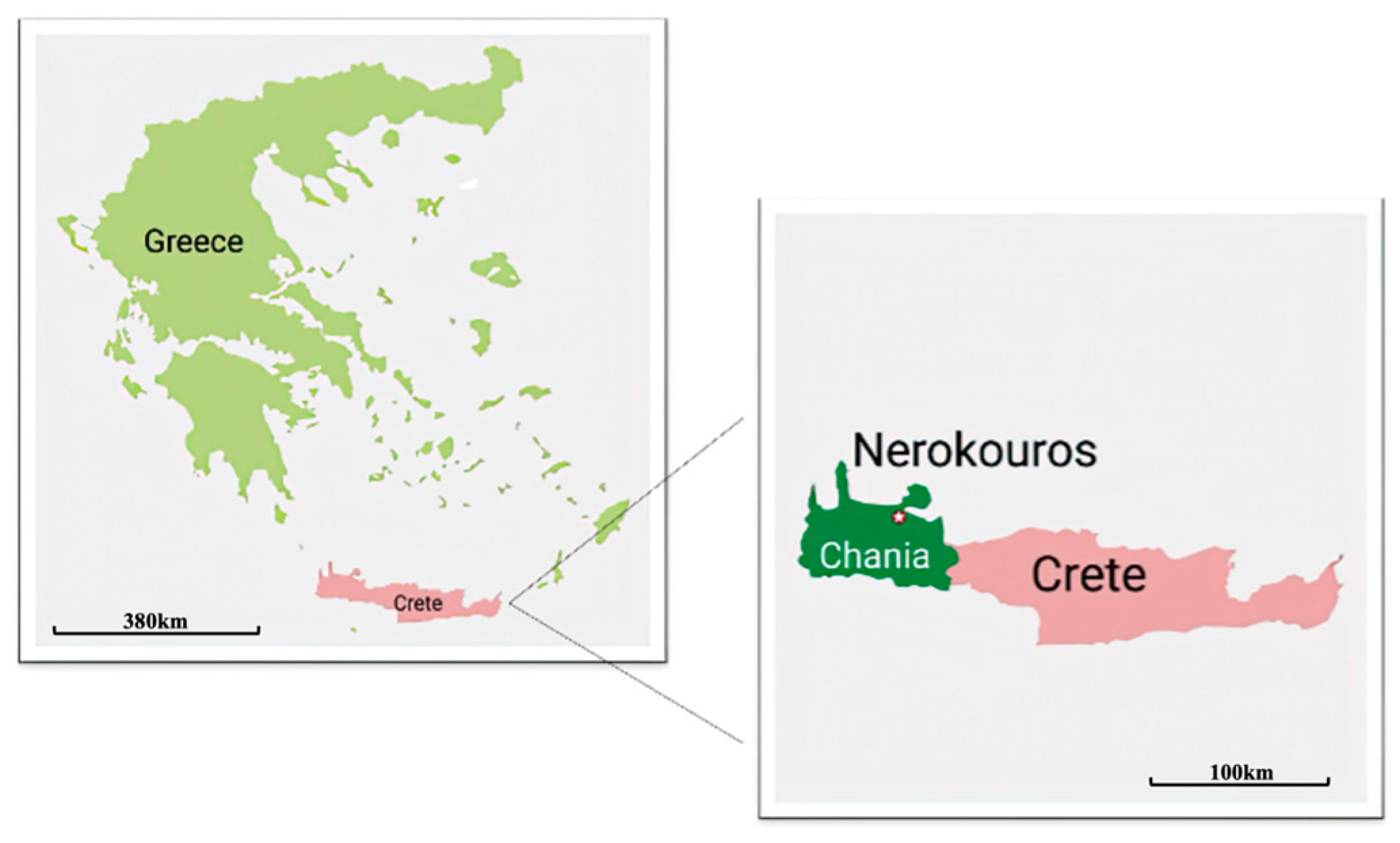 Plants 13 00900 g010