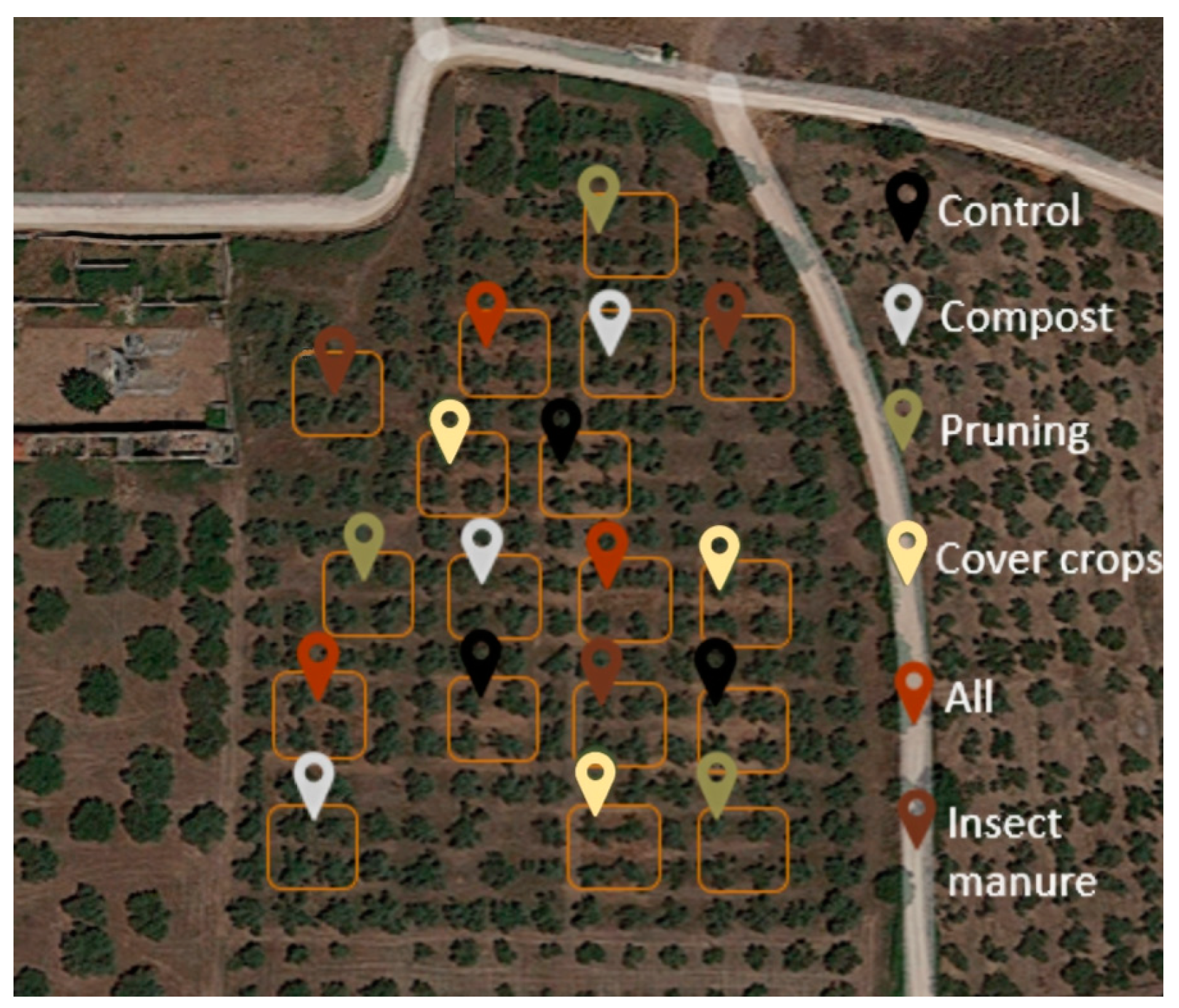 Plants 13 00900 g012