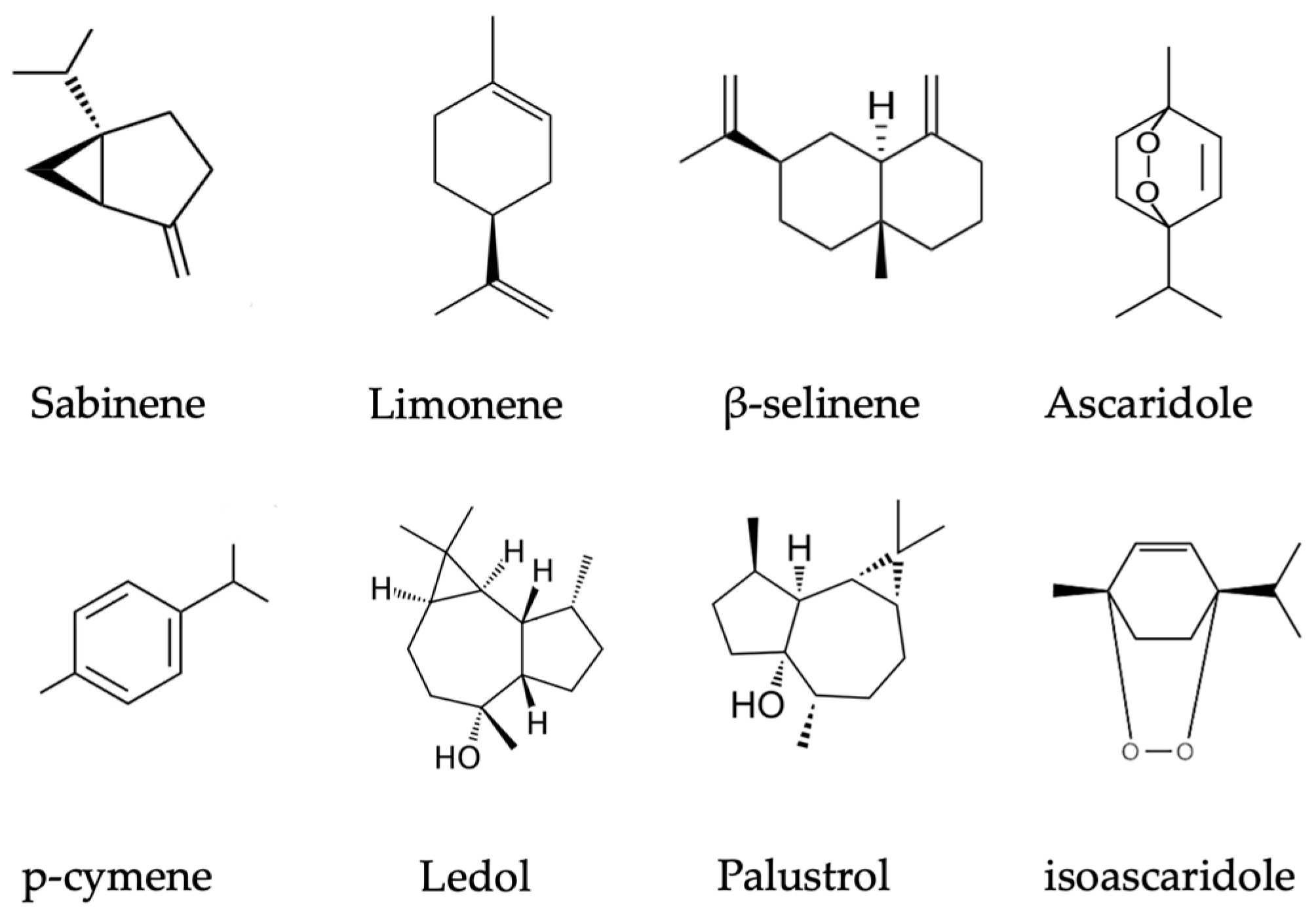 Plants 13 00901 g001
