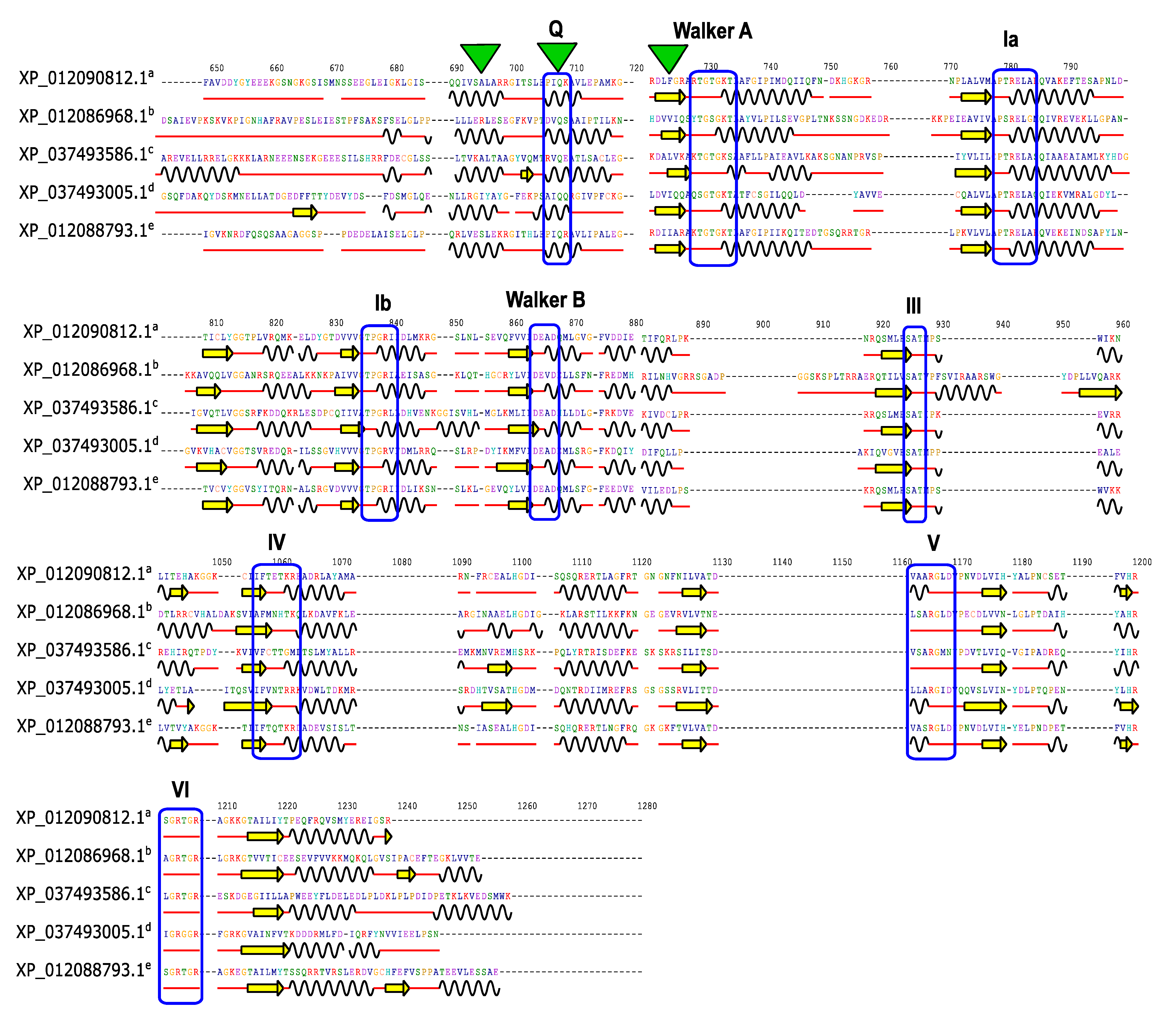 Plants 13 00905 g005