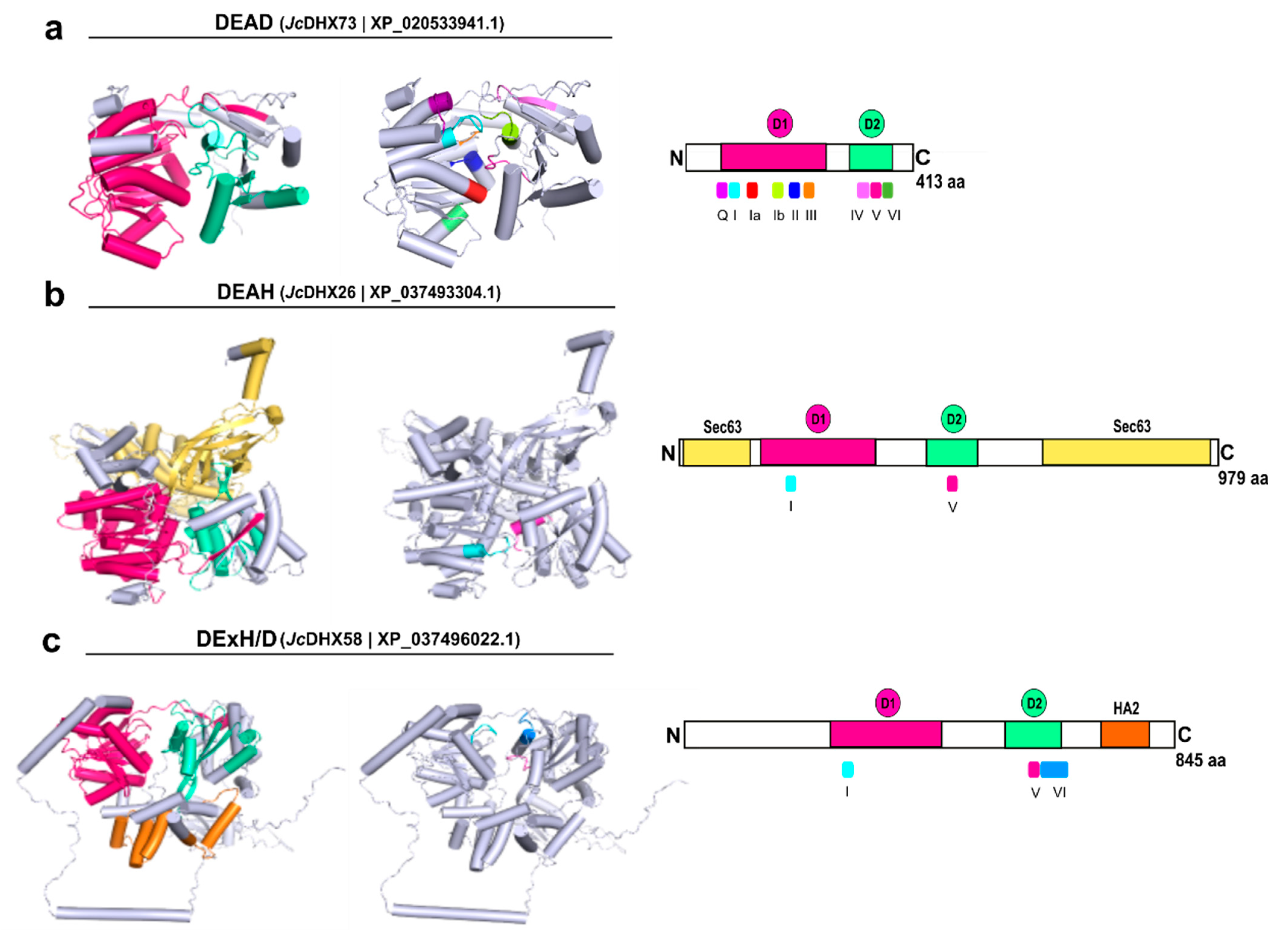Plants 13 00905 g006
