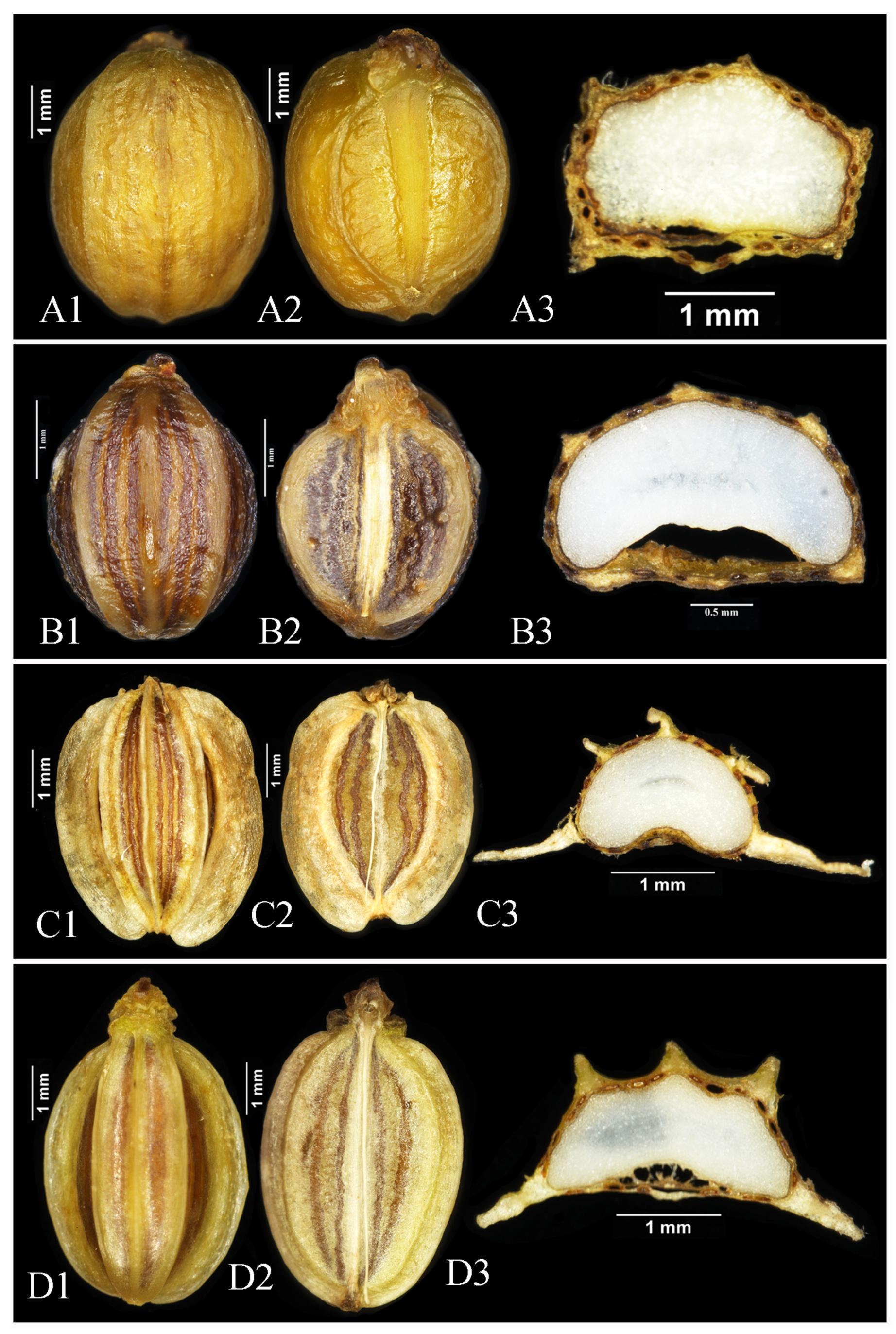 Plants 13 00907 g003