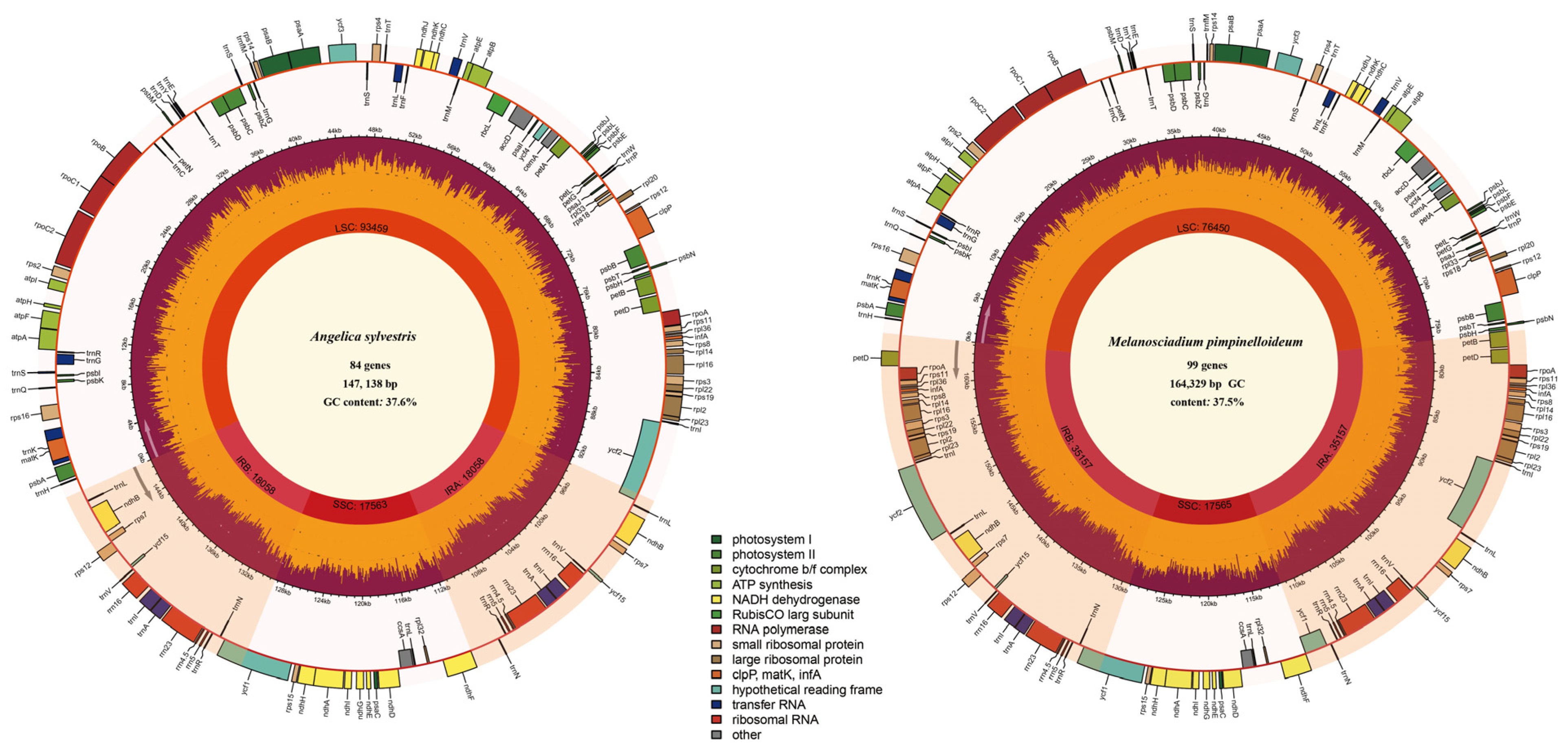Plants 13 00907 g005