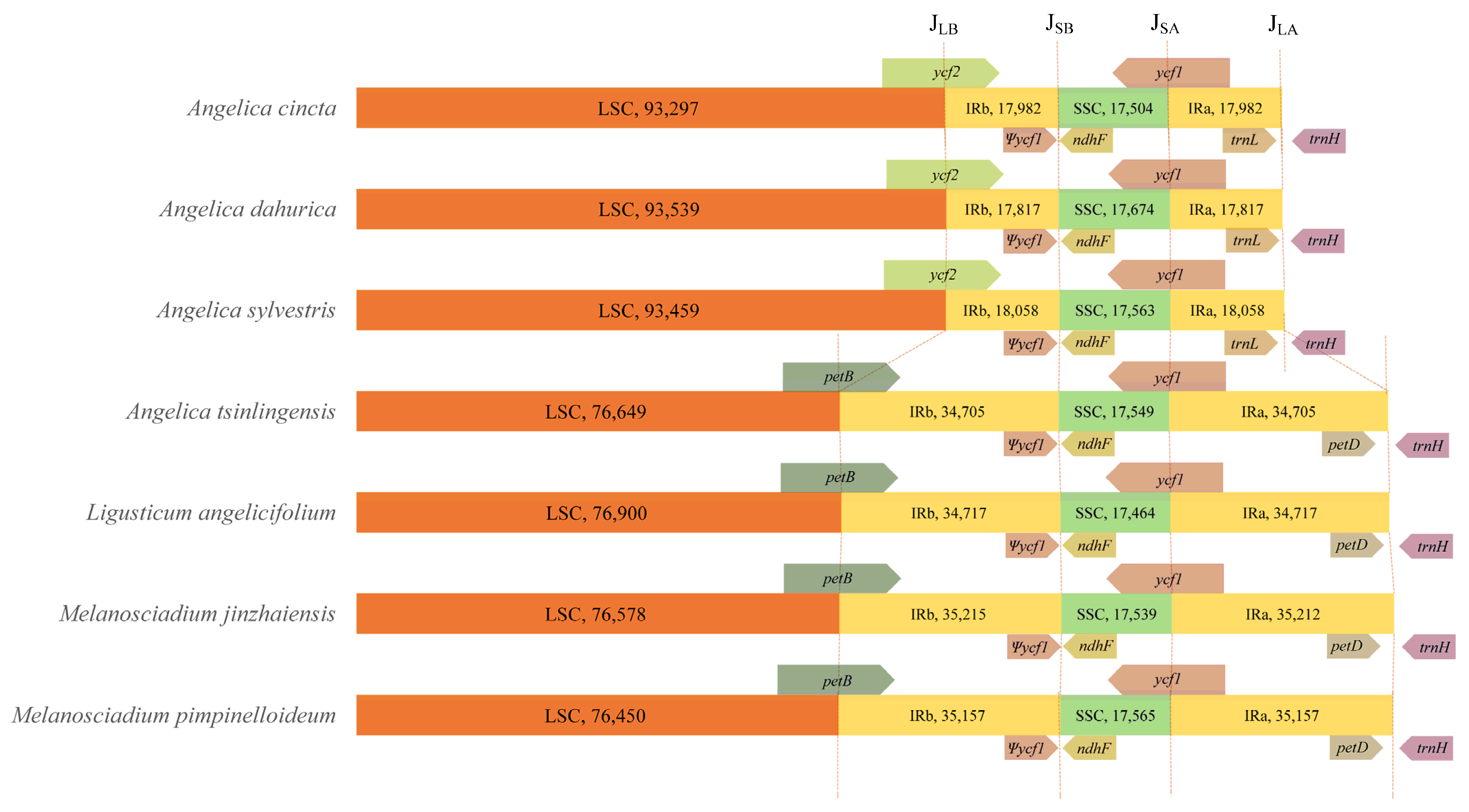 Plants 13 00907 g006