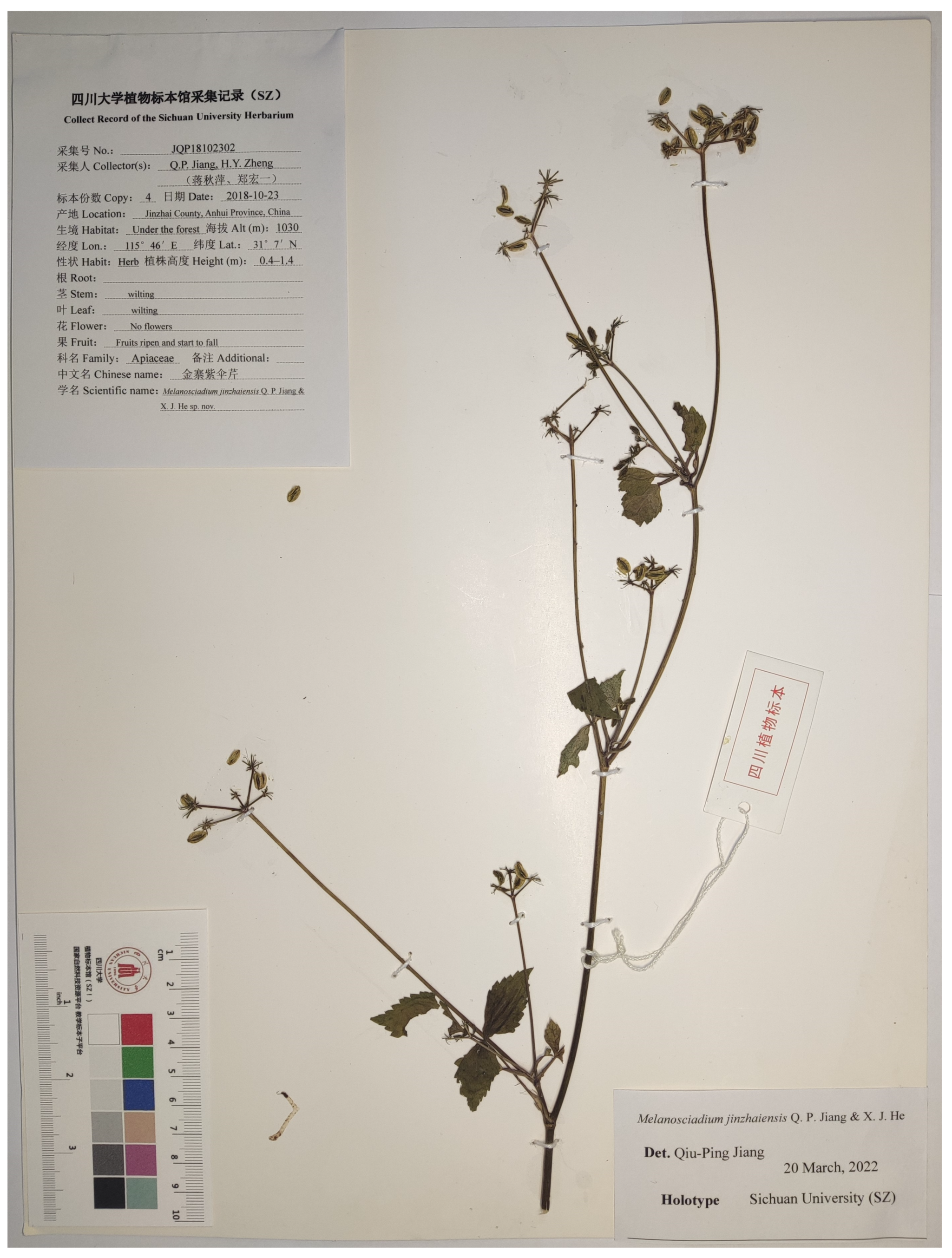 Plants 13 00907 g009