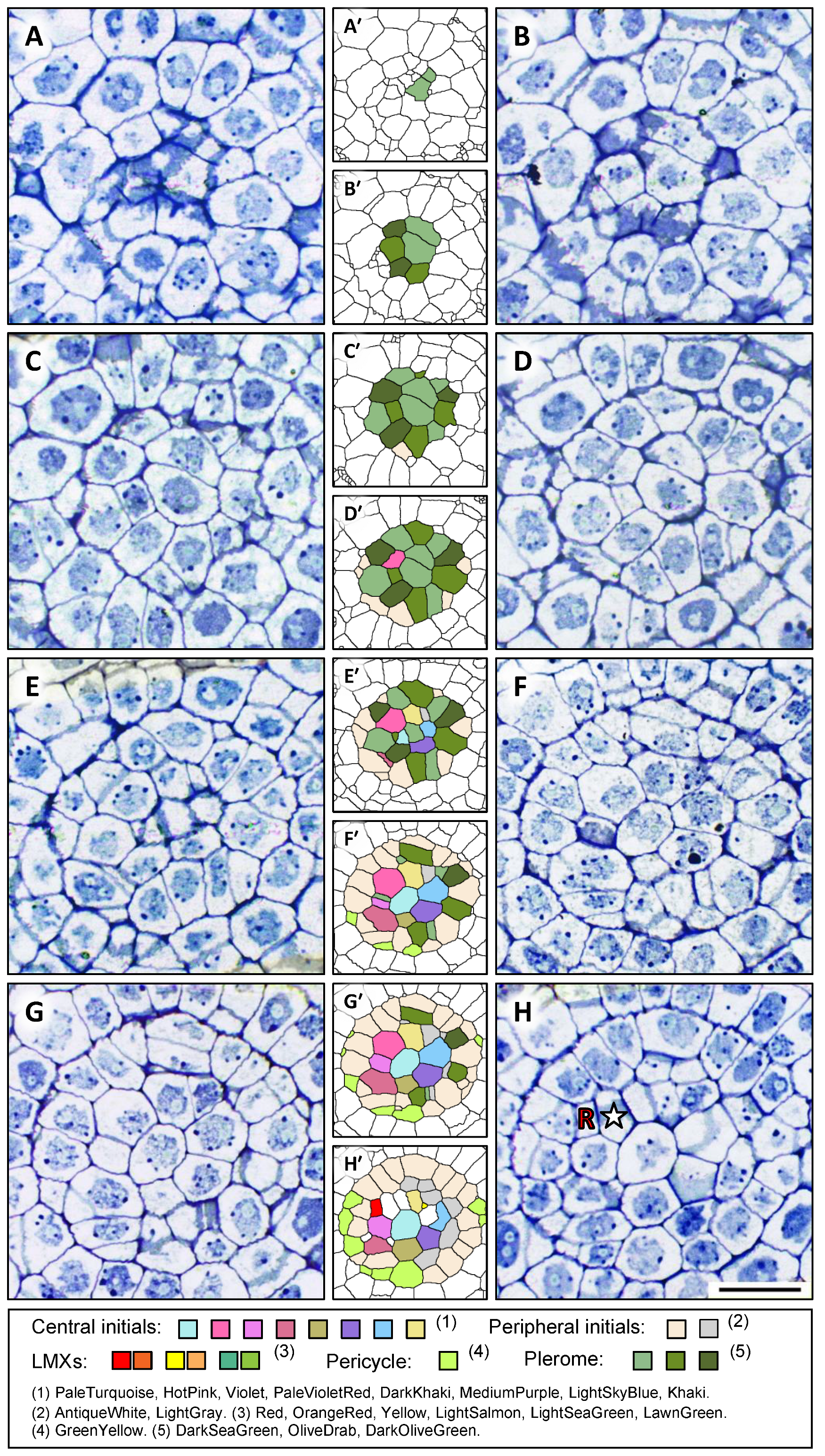 Plants 13 00910 g002a