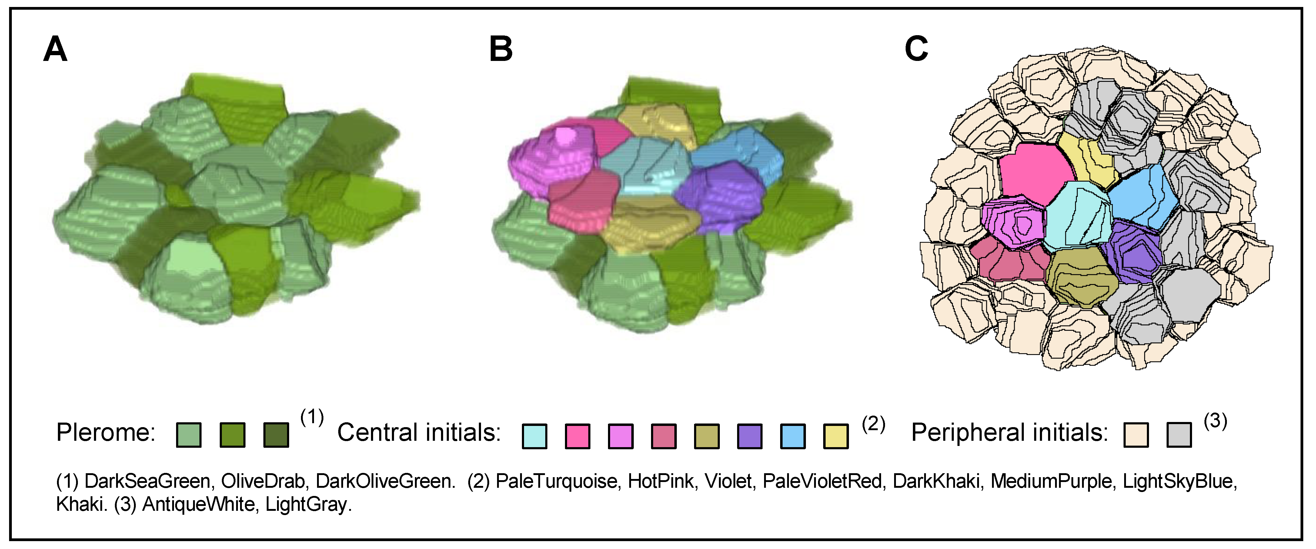 Plants 13 00910 g004
