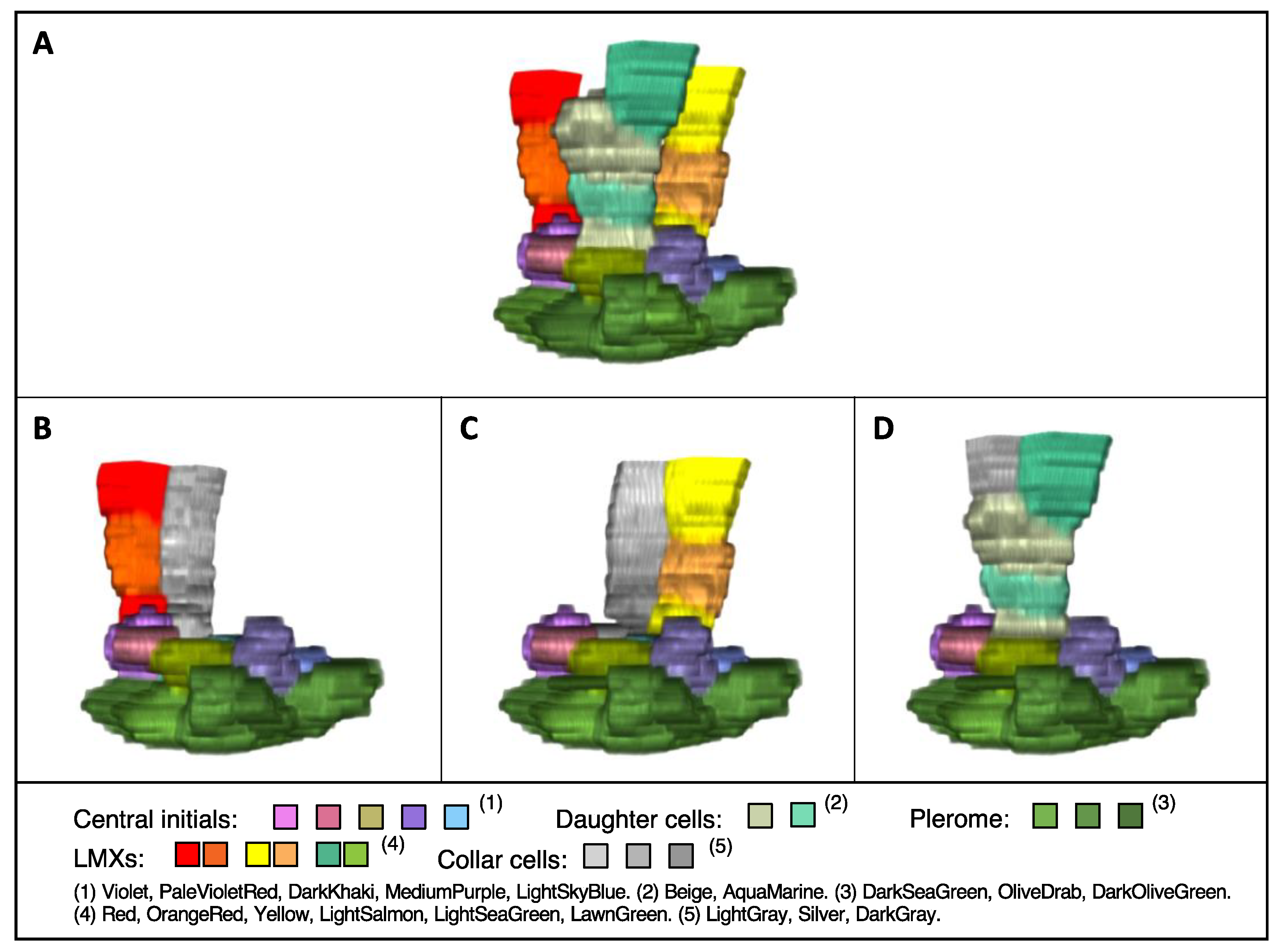 Plants 13 00910 g005