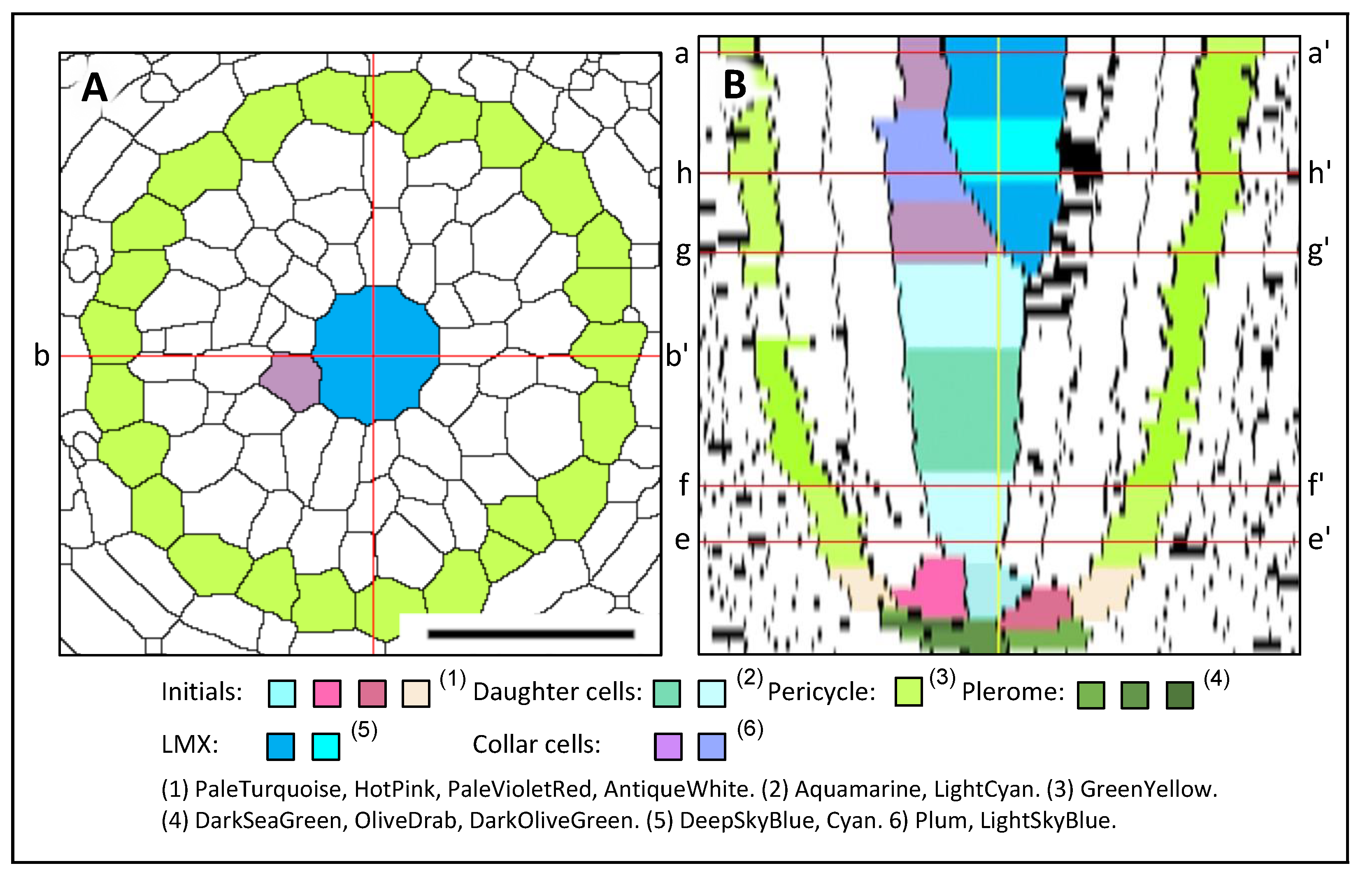 Plants 13 00910 g007