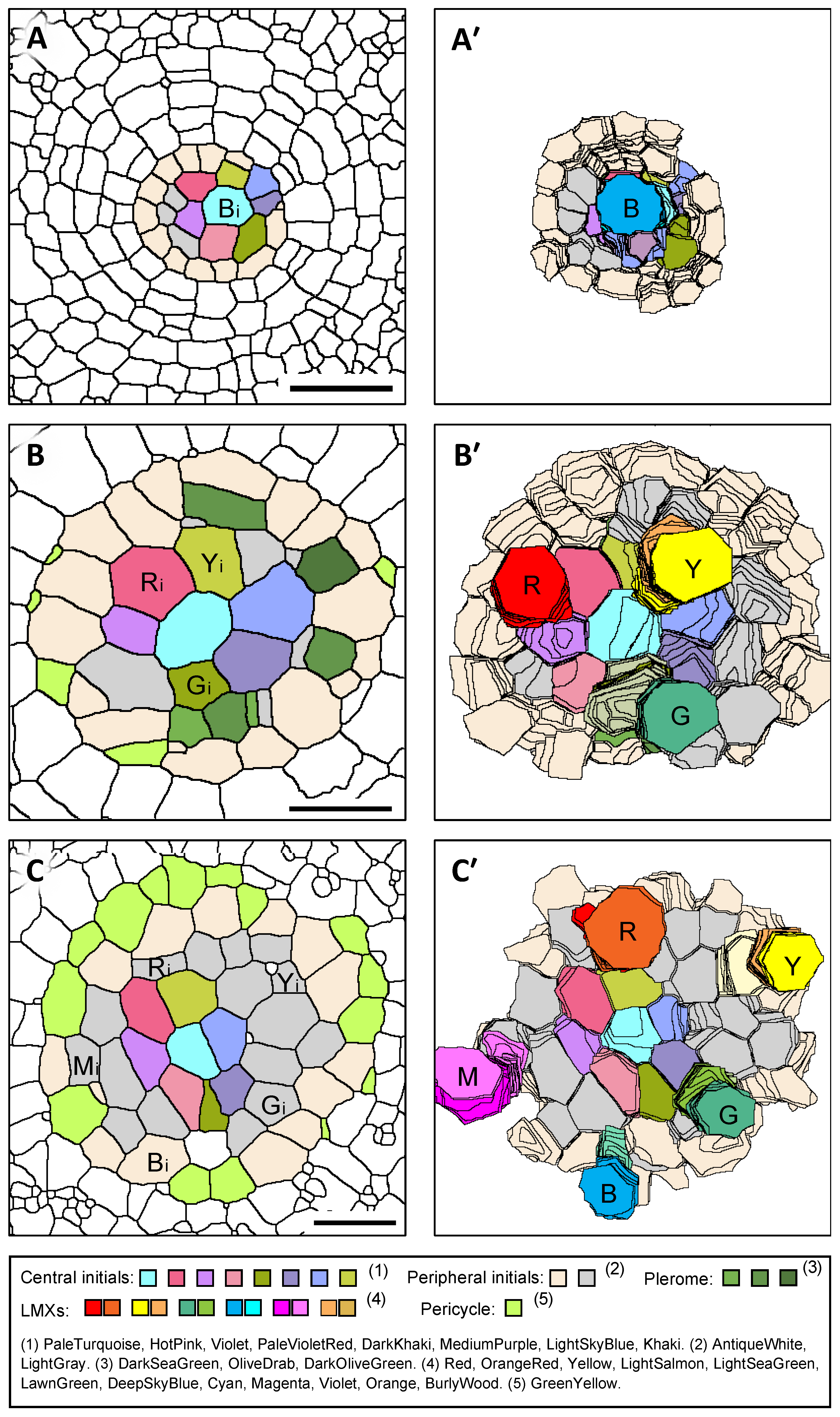 Plants 13 00910 g008