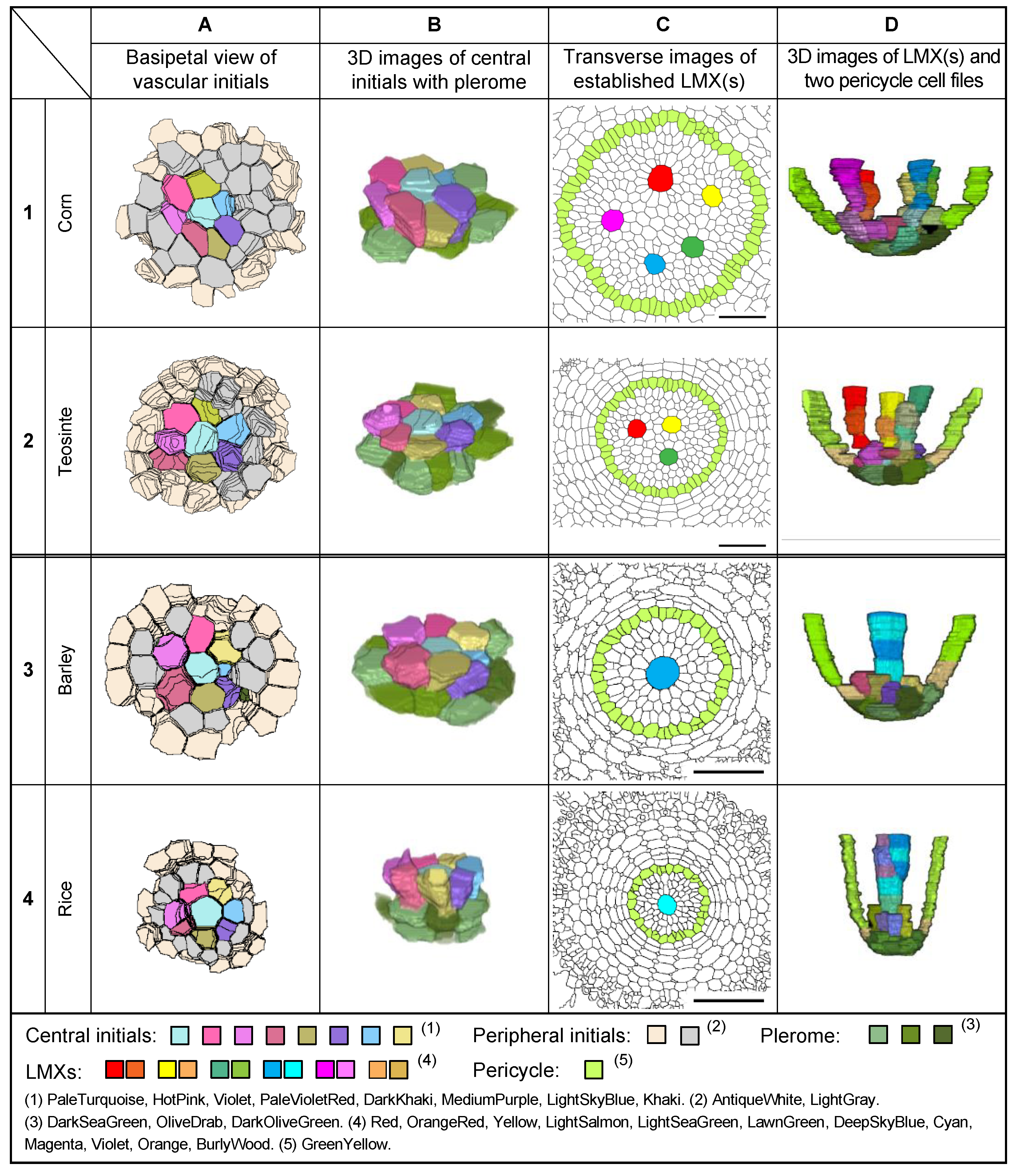 Plants 13 00910 g009