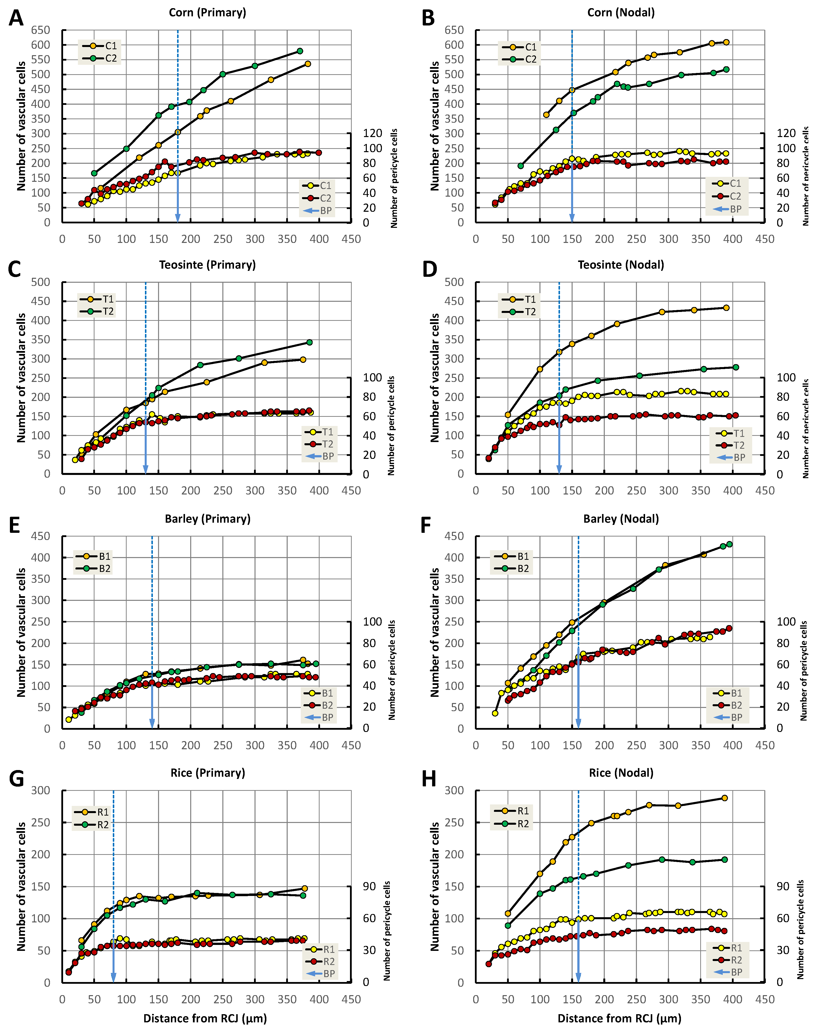 Plants 13 00910 g012