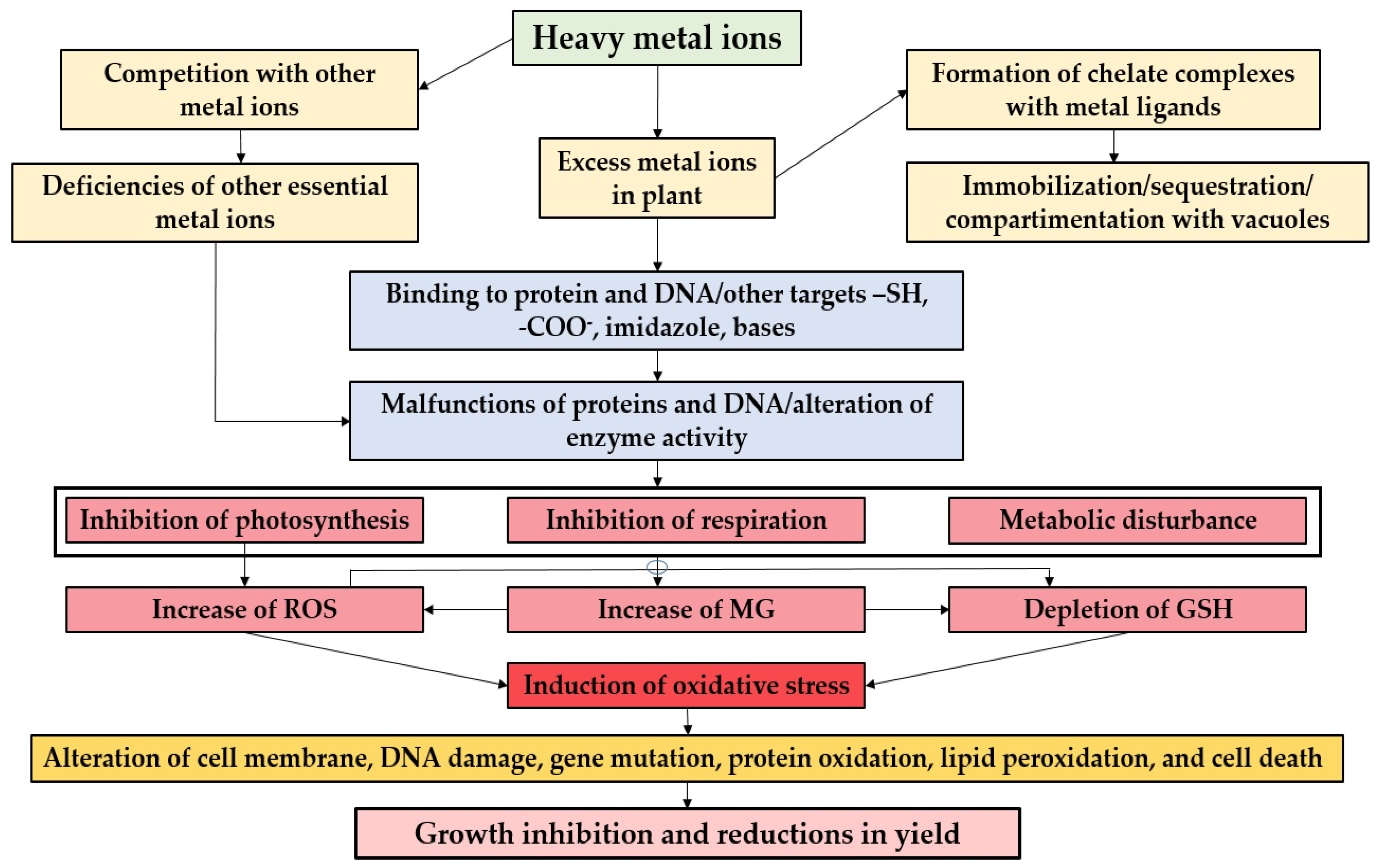 Plants 13 00913 g001