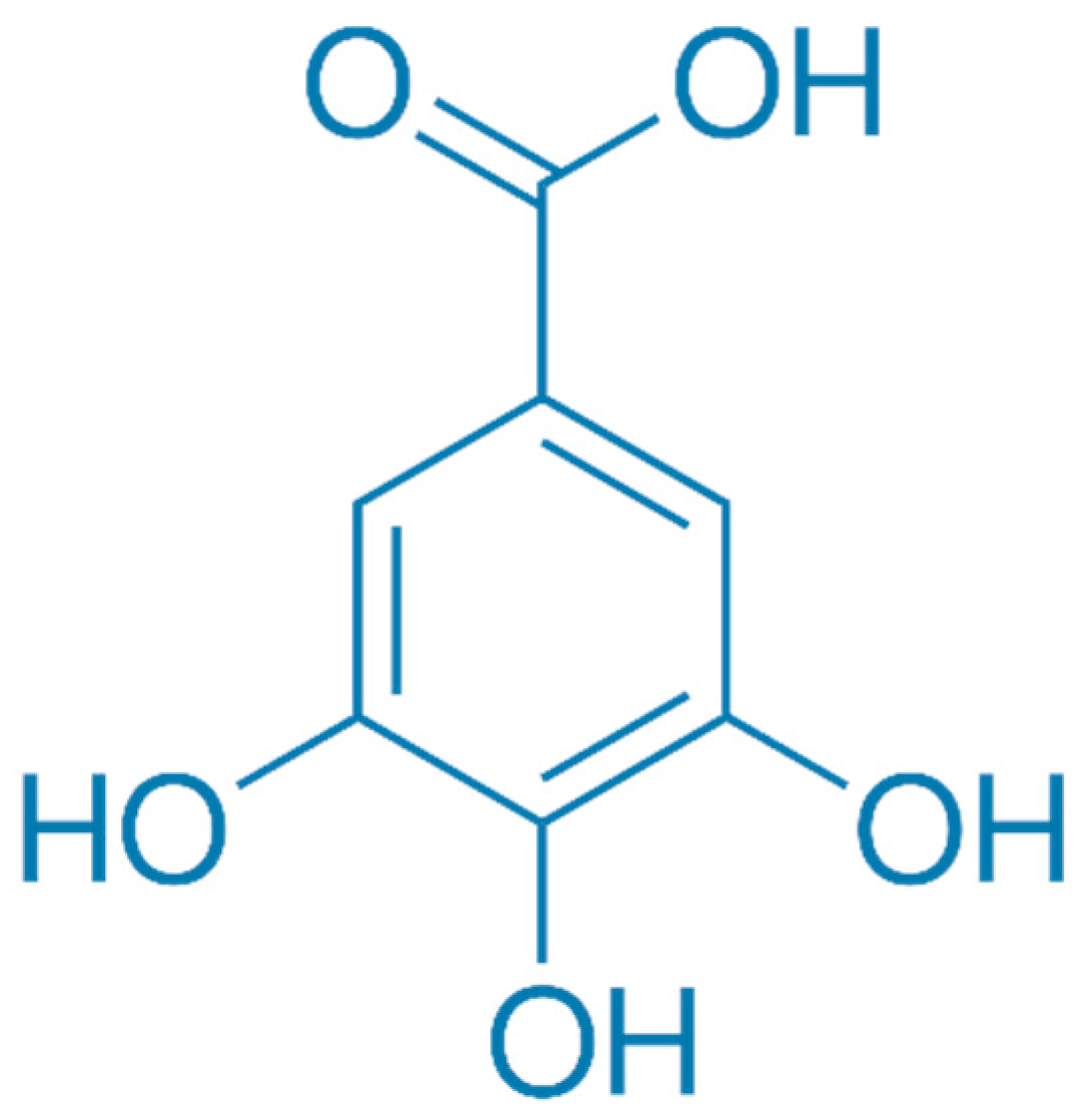 Plants 13 00914 g001