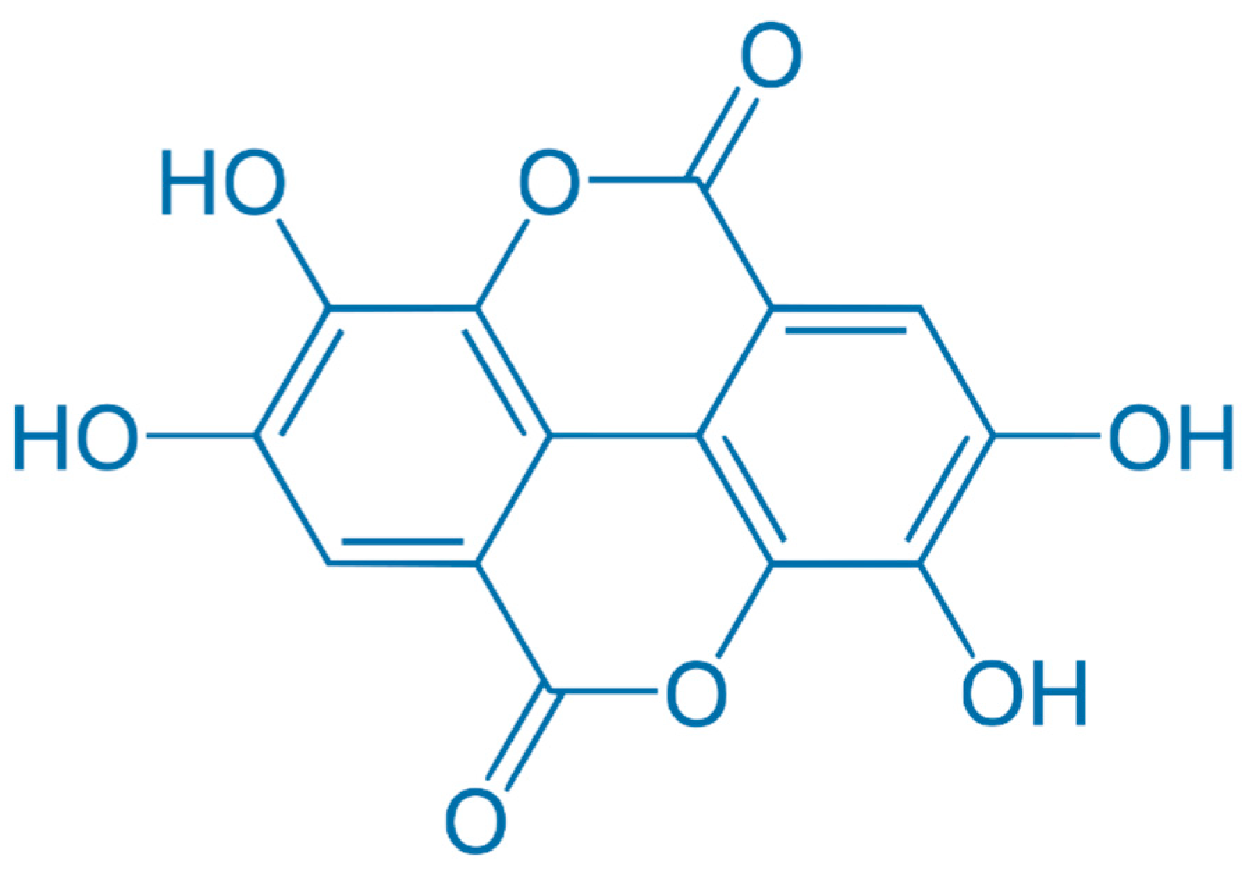Plants 13 00914 g002
