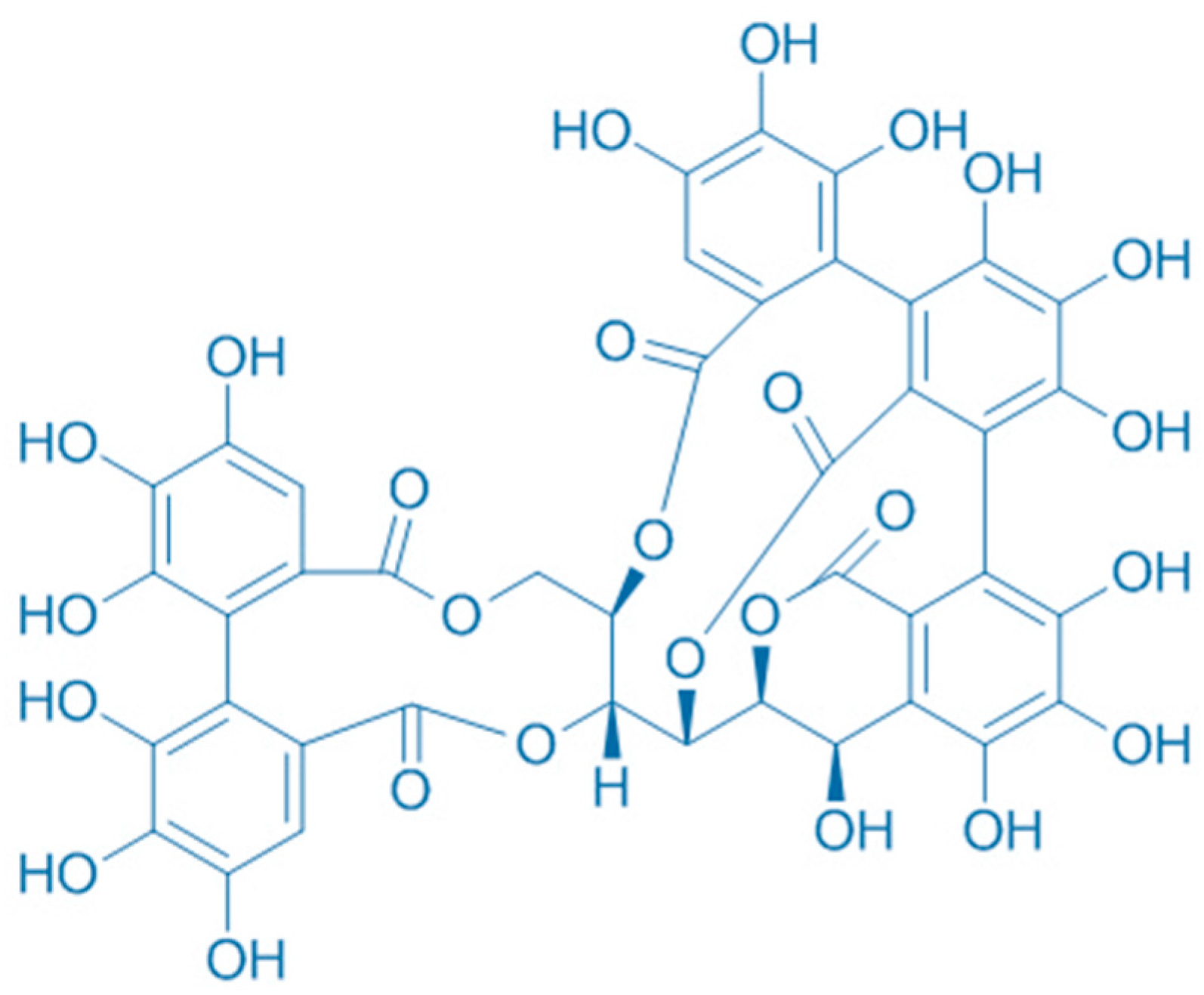 Plants 13 00914 g004