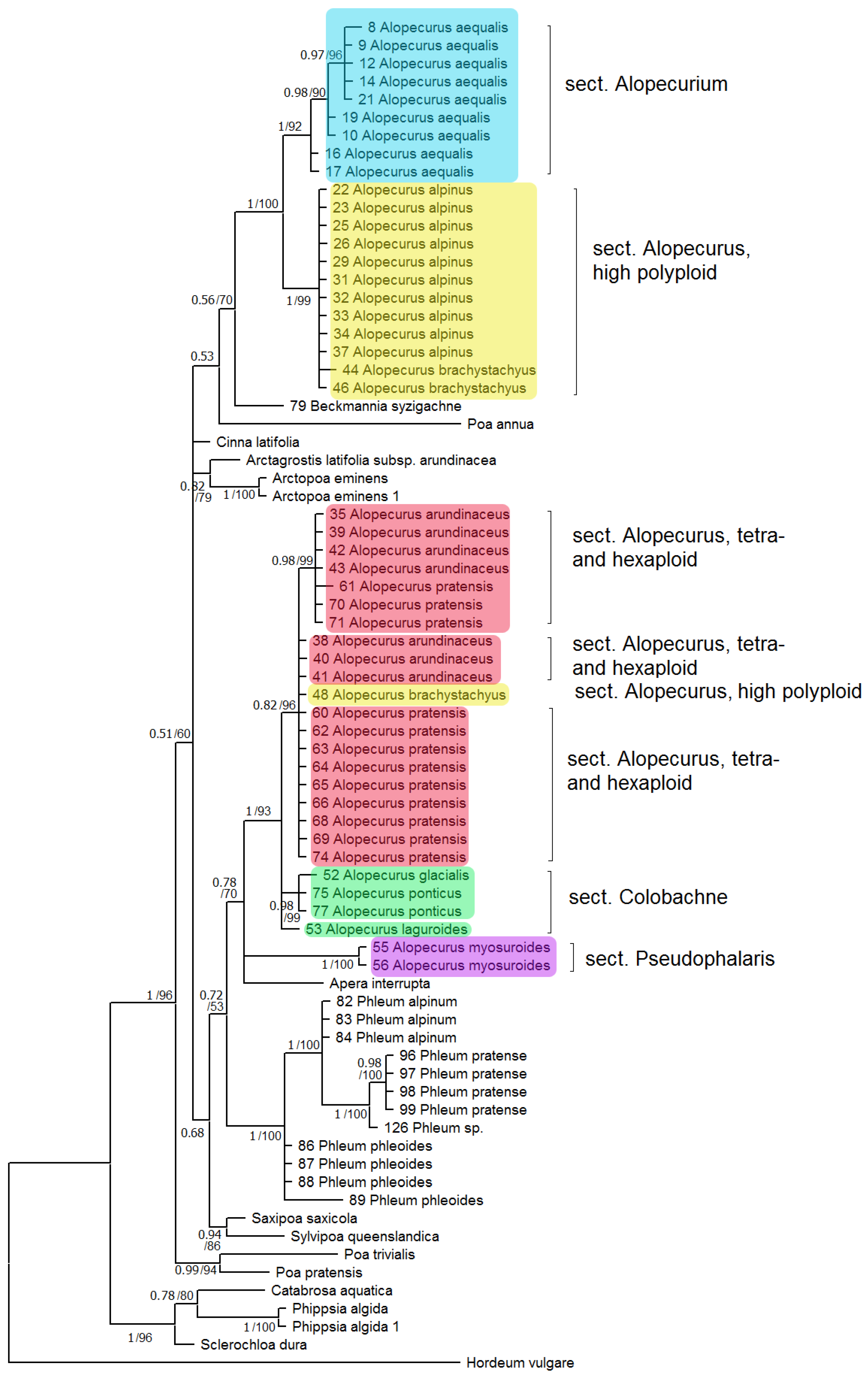 Plants 13 00919 g001 Plants 13 00919 g001