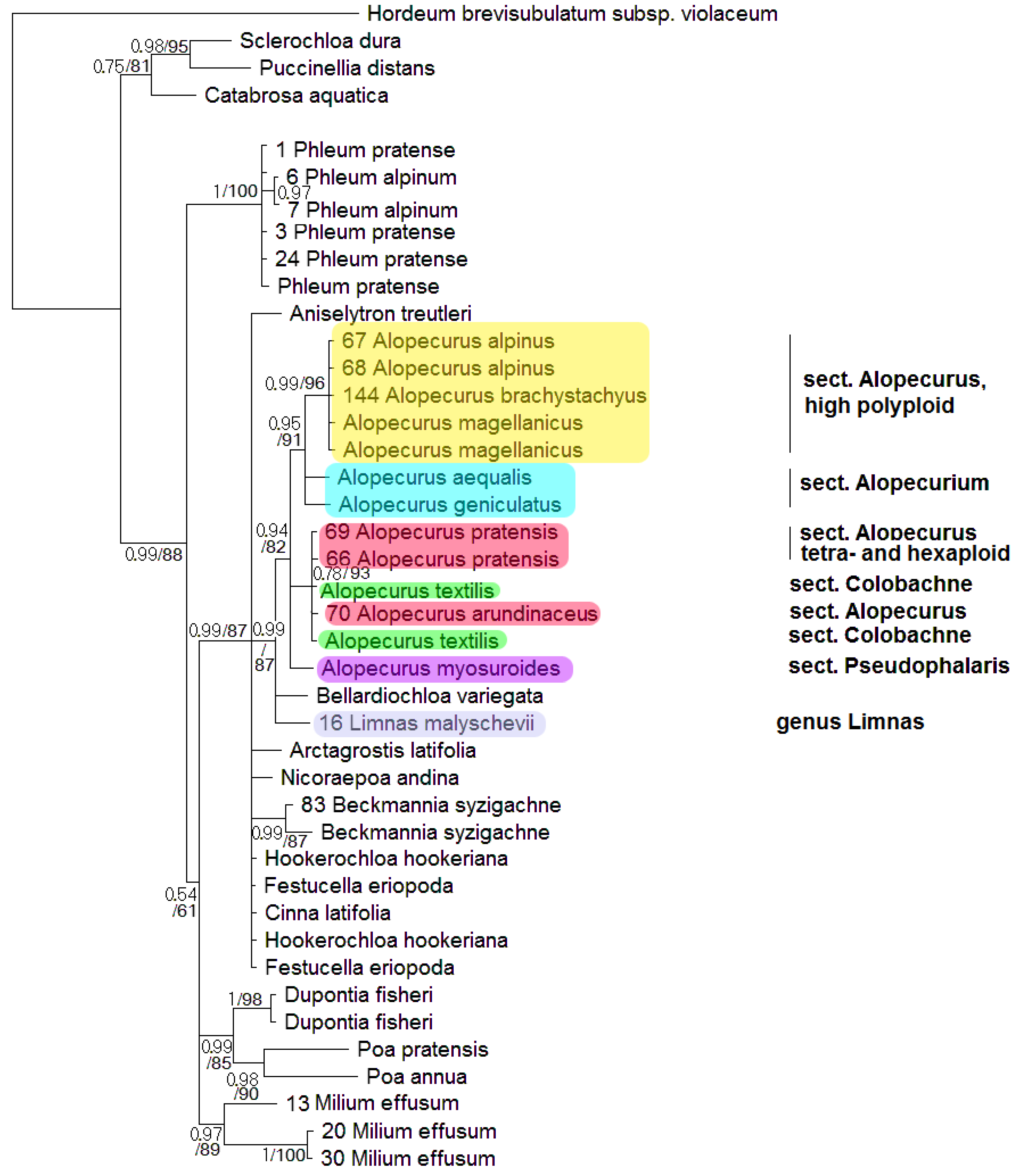 Plants 13 00919 g002 Plants 13 00919 g002