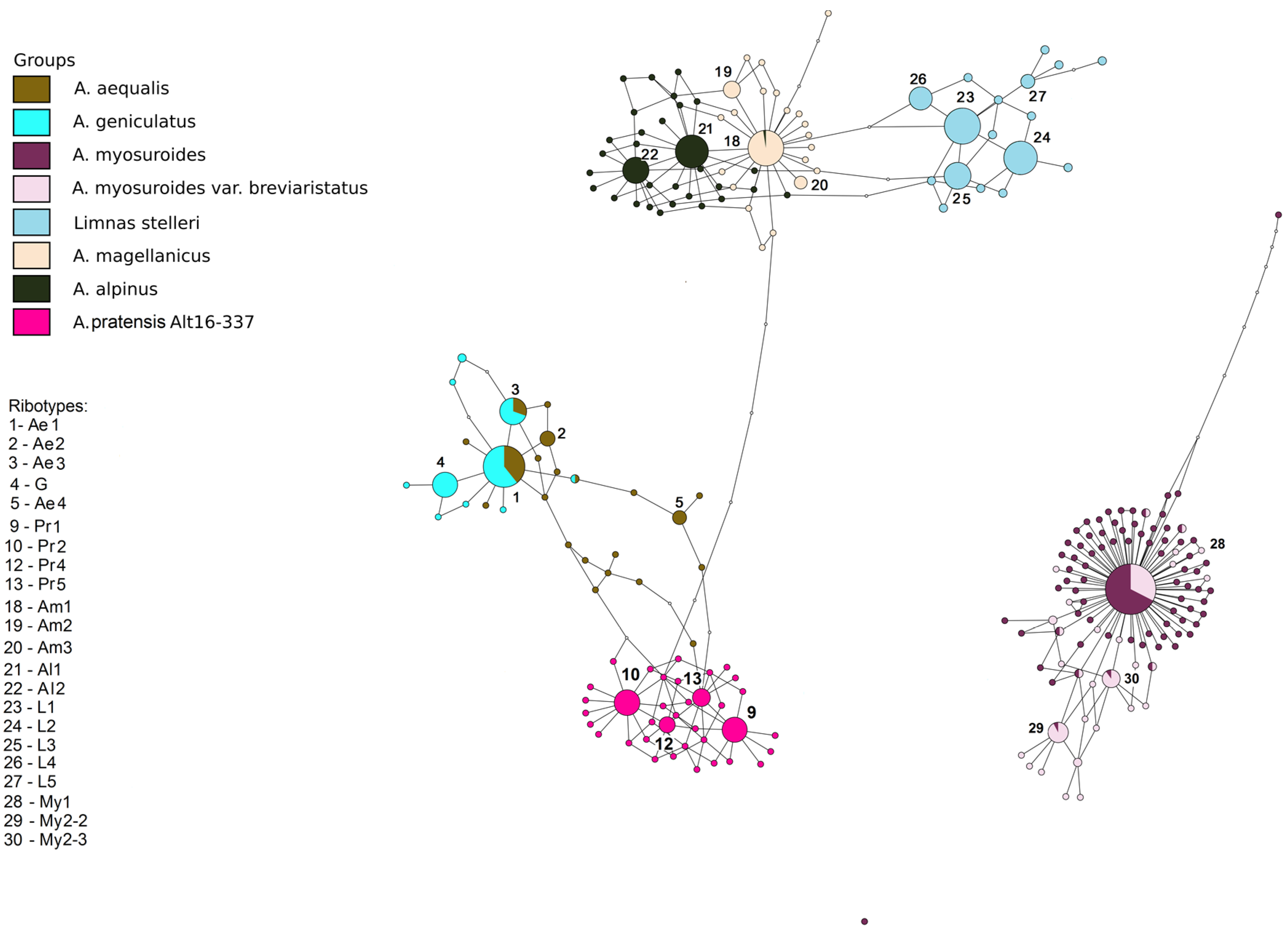Plants 13 00919 g005 Plants 13 00919 g005