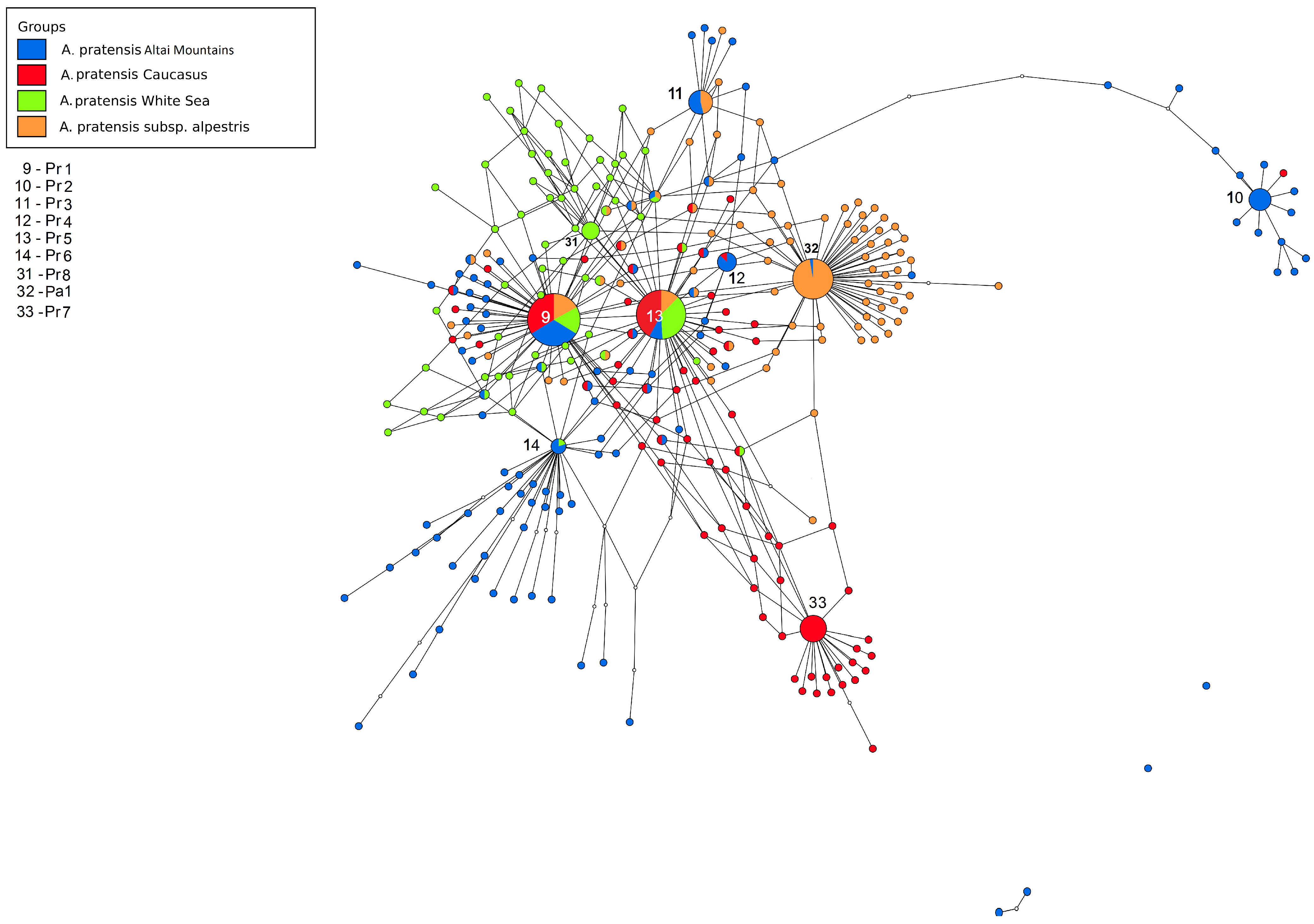 Plants 13 00919 g006 Plants 13 00919 g006