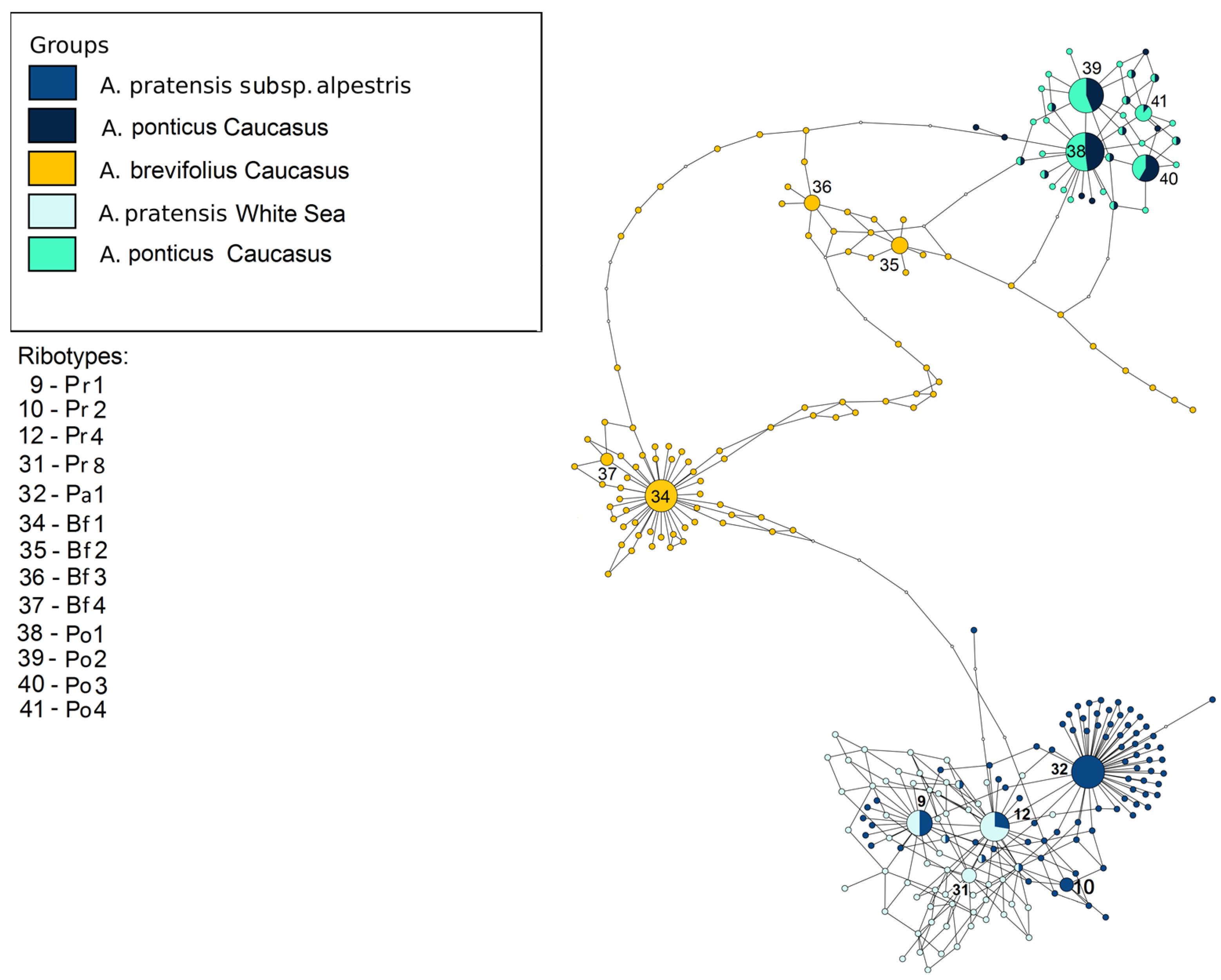 Plants 13 00919 g007 Plants 13 00919 g007