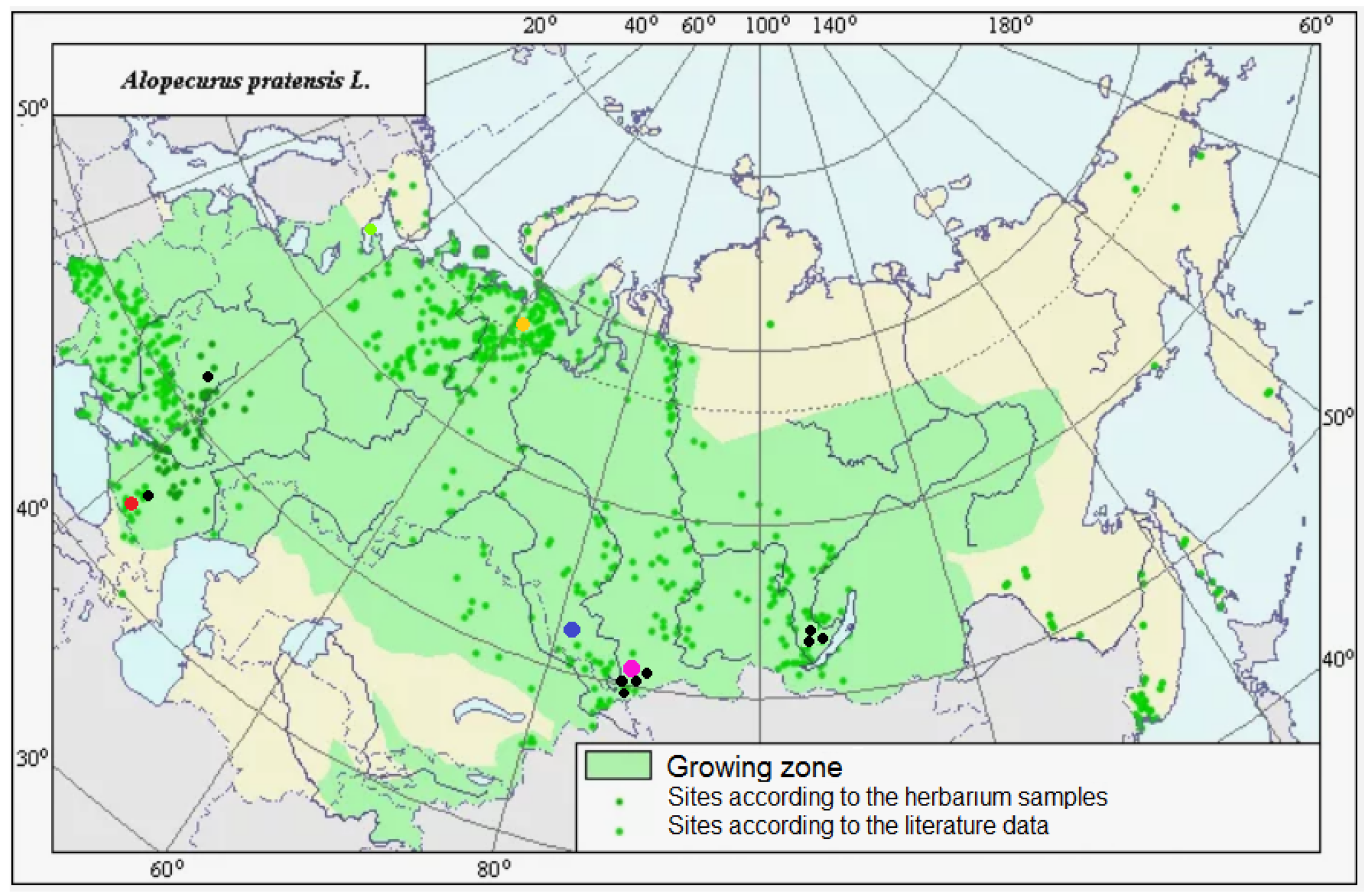 Plants 13 00919 g008 Plants 13 00919 g008