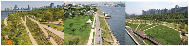 Plants 13 00923 i005