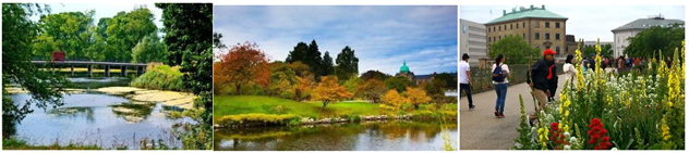 Plants 13 00923 i008