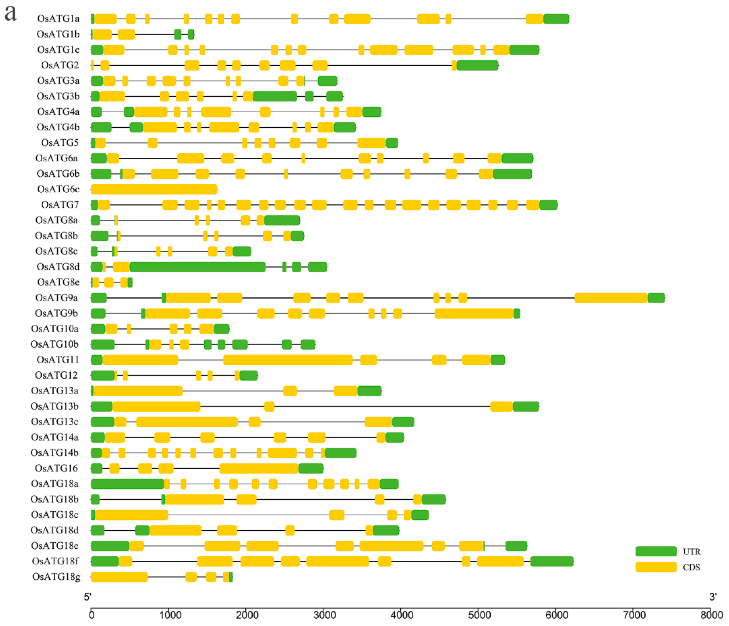 Plants 13 00927 g002a