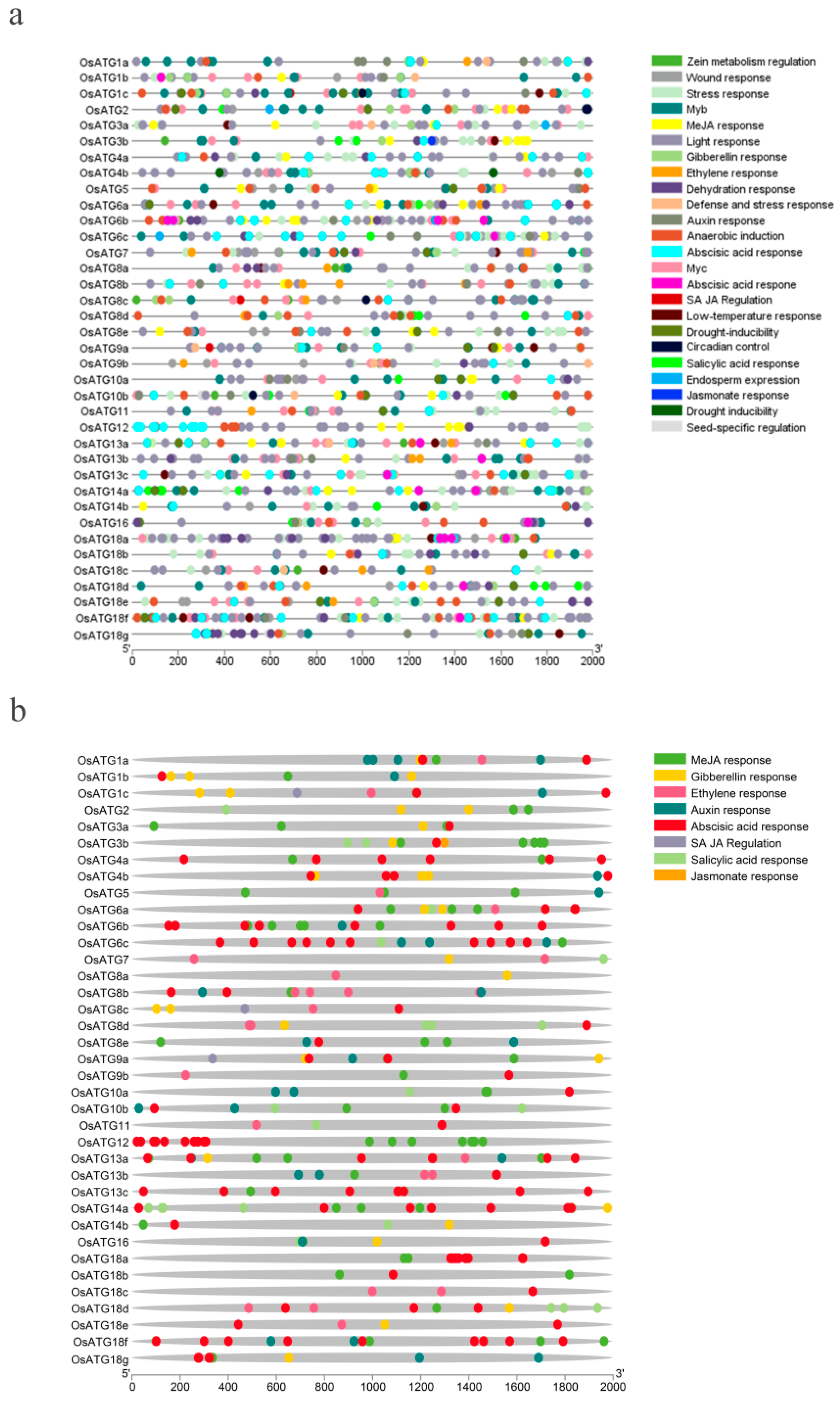 Plants 13 00927 g004