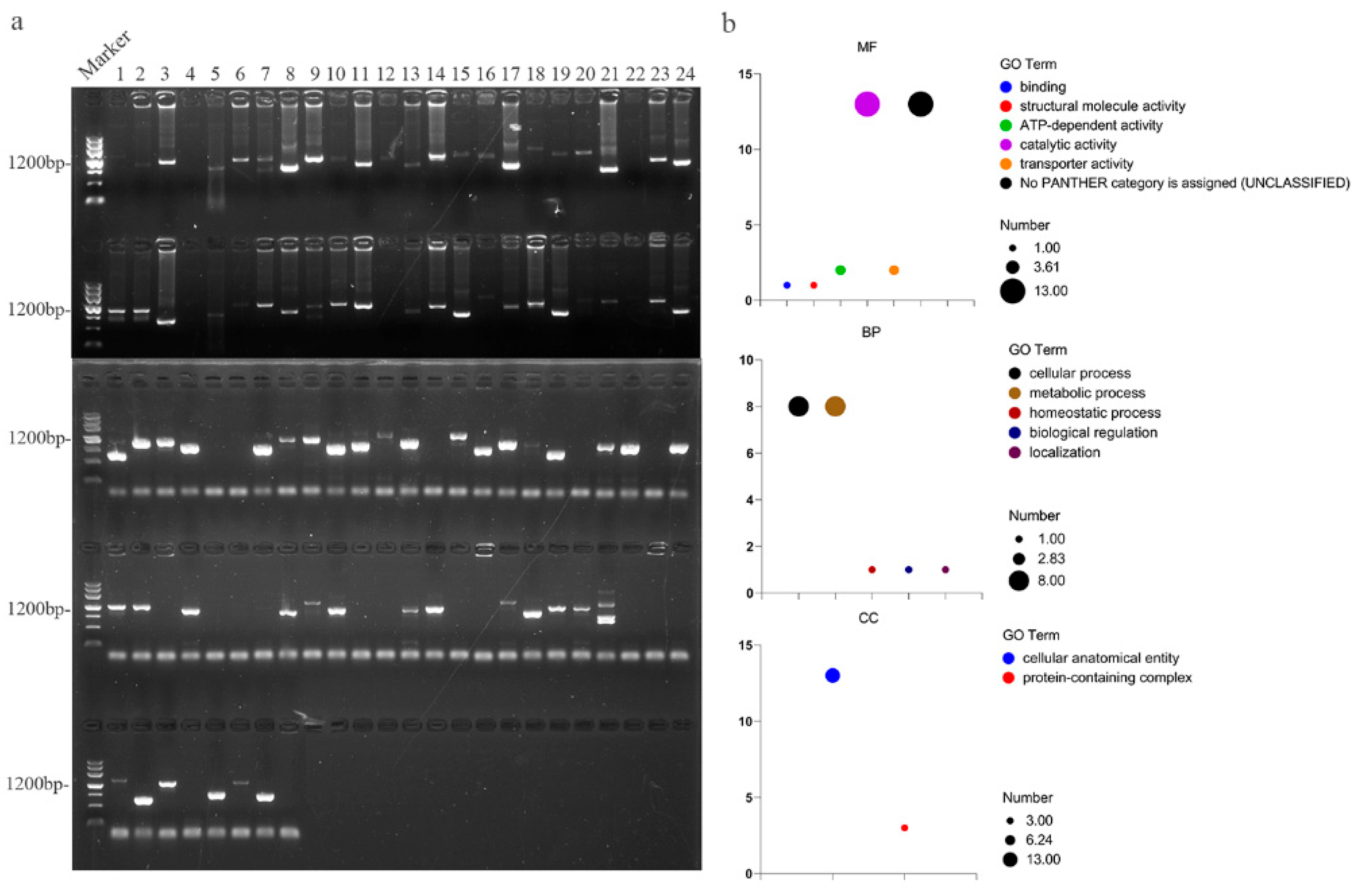 Plants 13 00927 g008