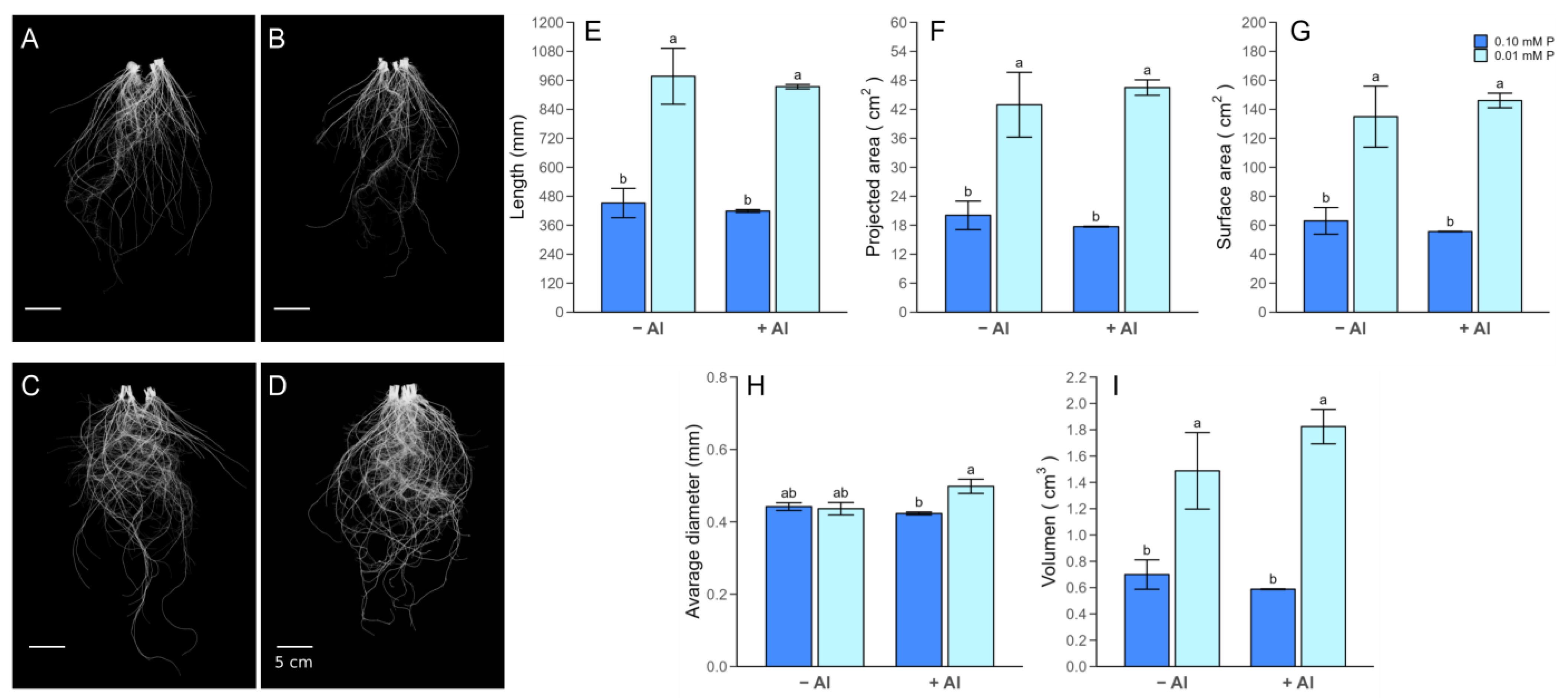 Plants 13 00929 g002