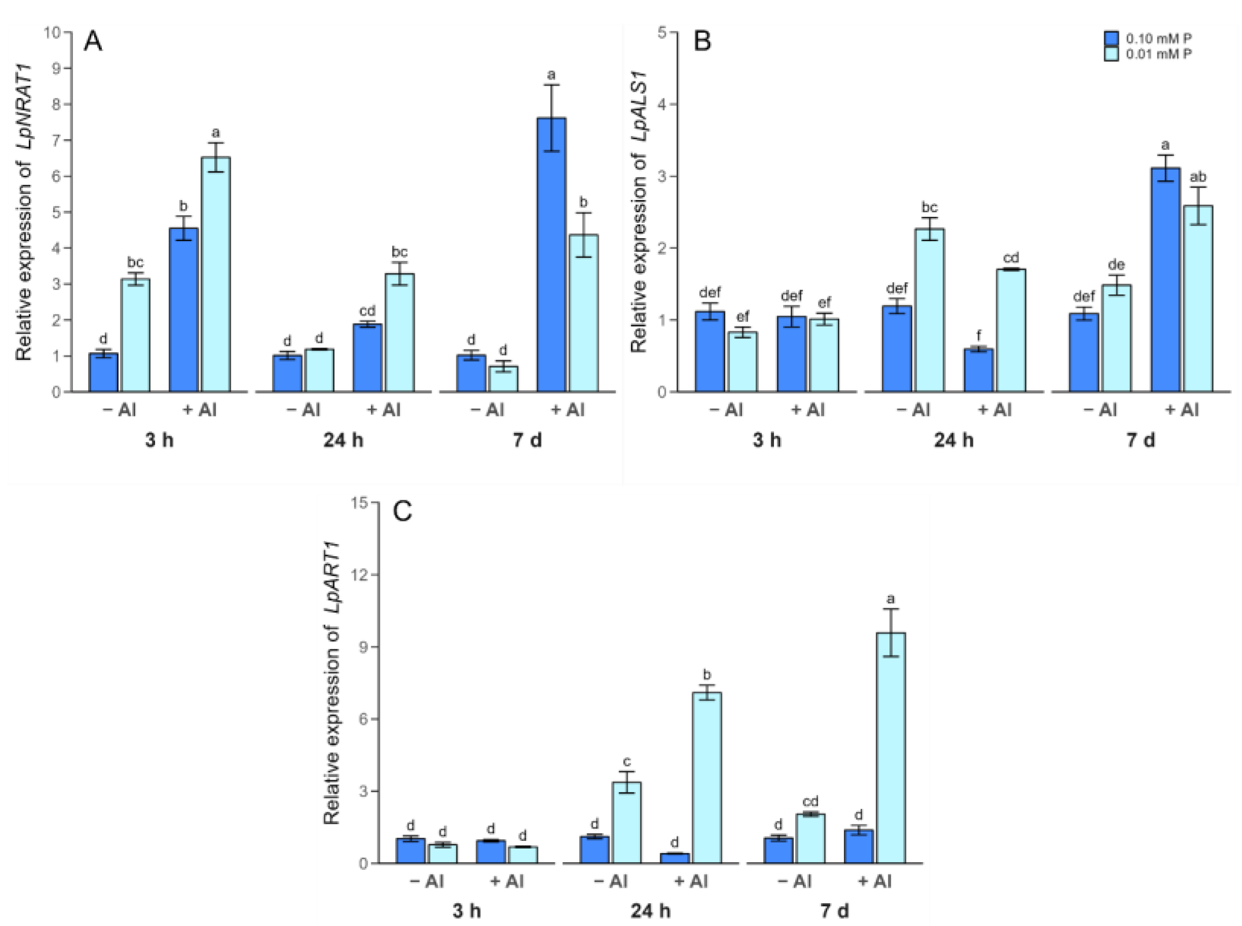 Plants 13 00929 g005