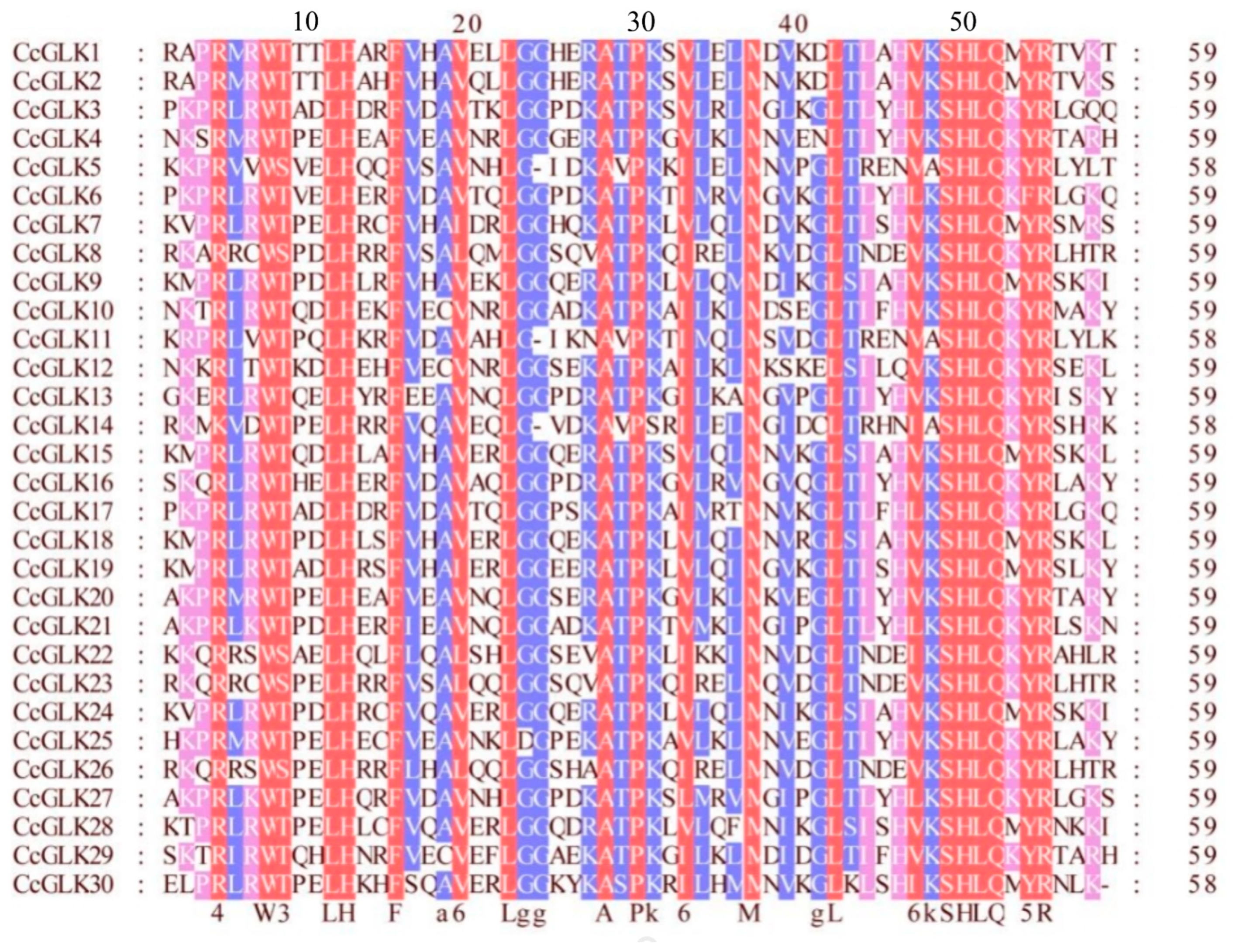 Plants 13 00936 g006