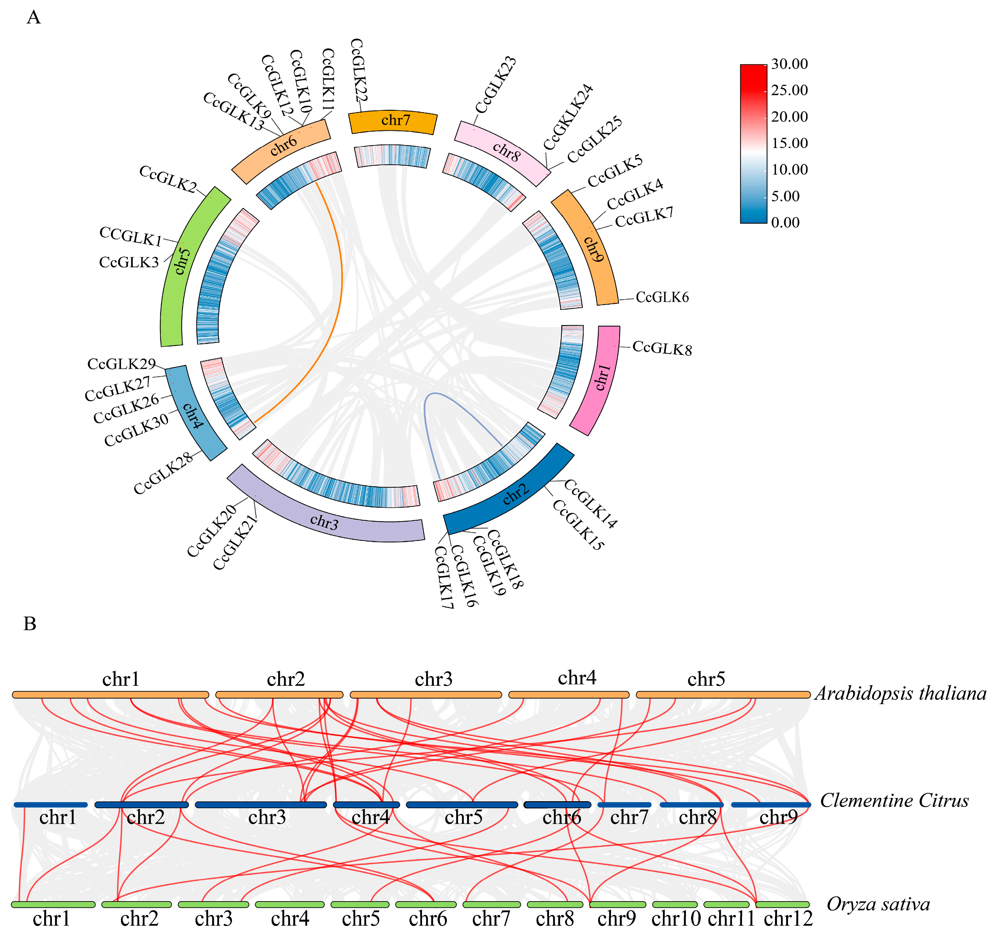 Plants 13 00936 g008