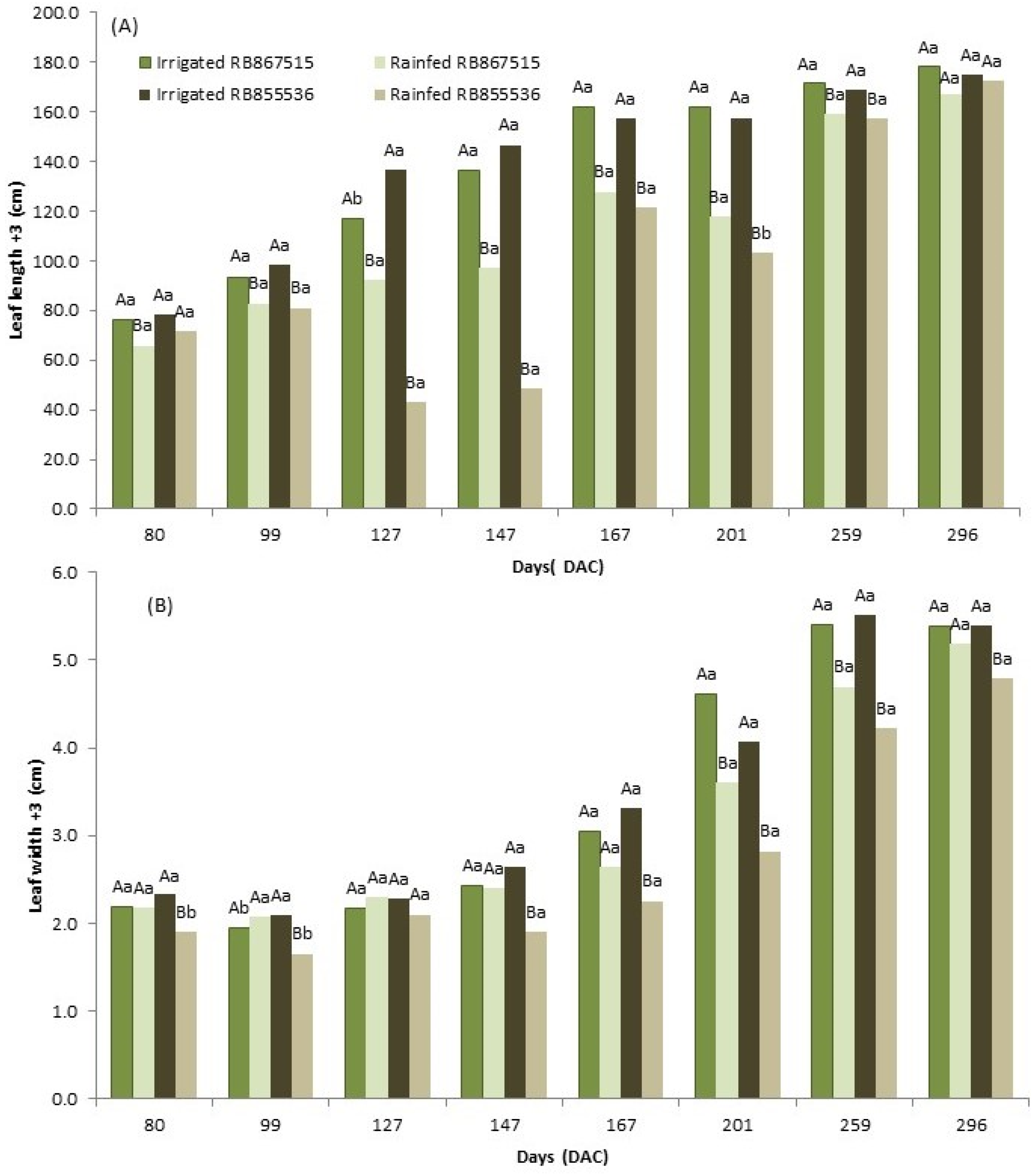 Plants 13 00937 g002