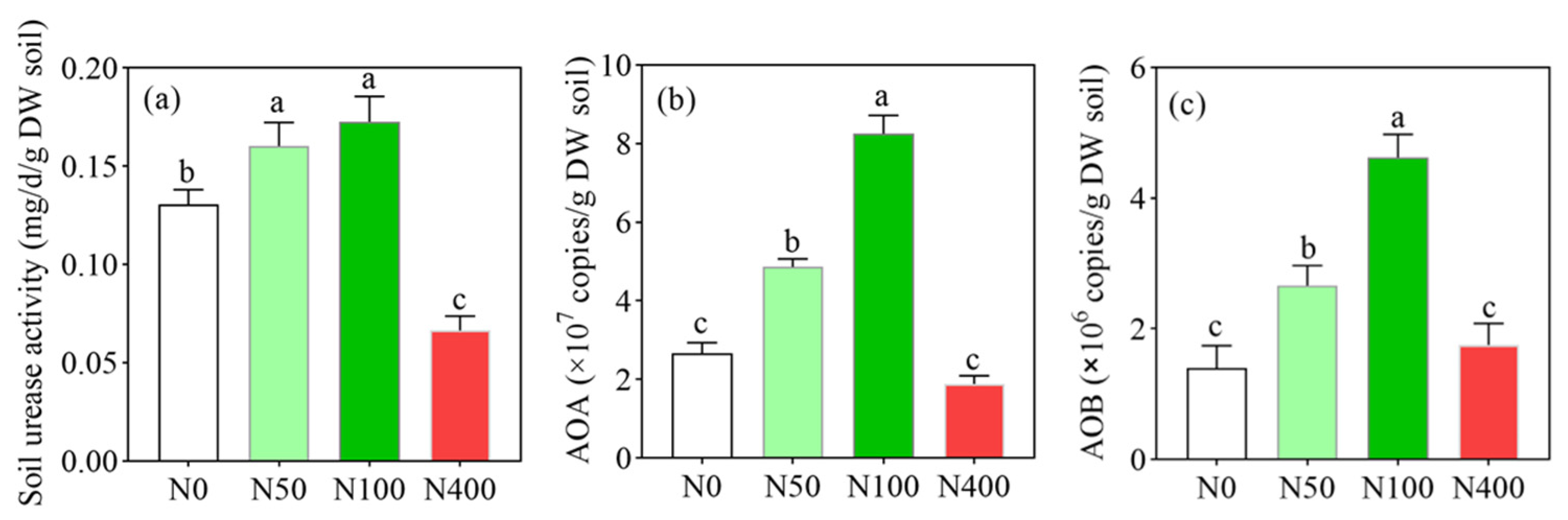 Plants 13 00938 g001