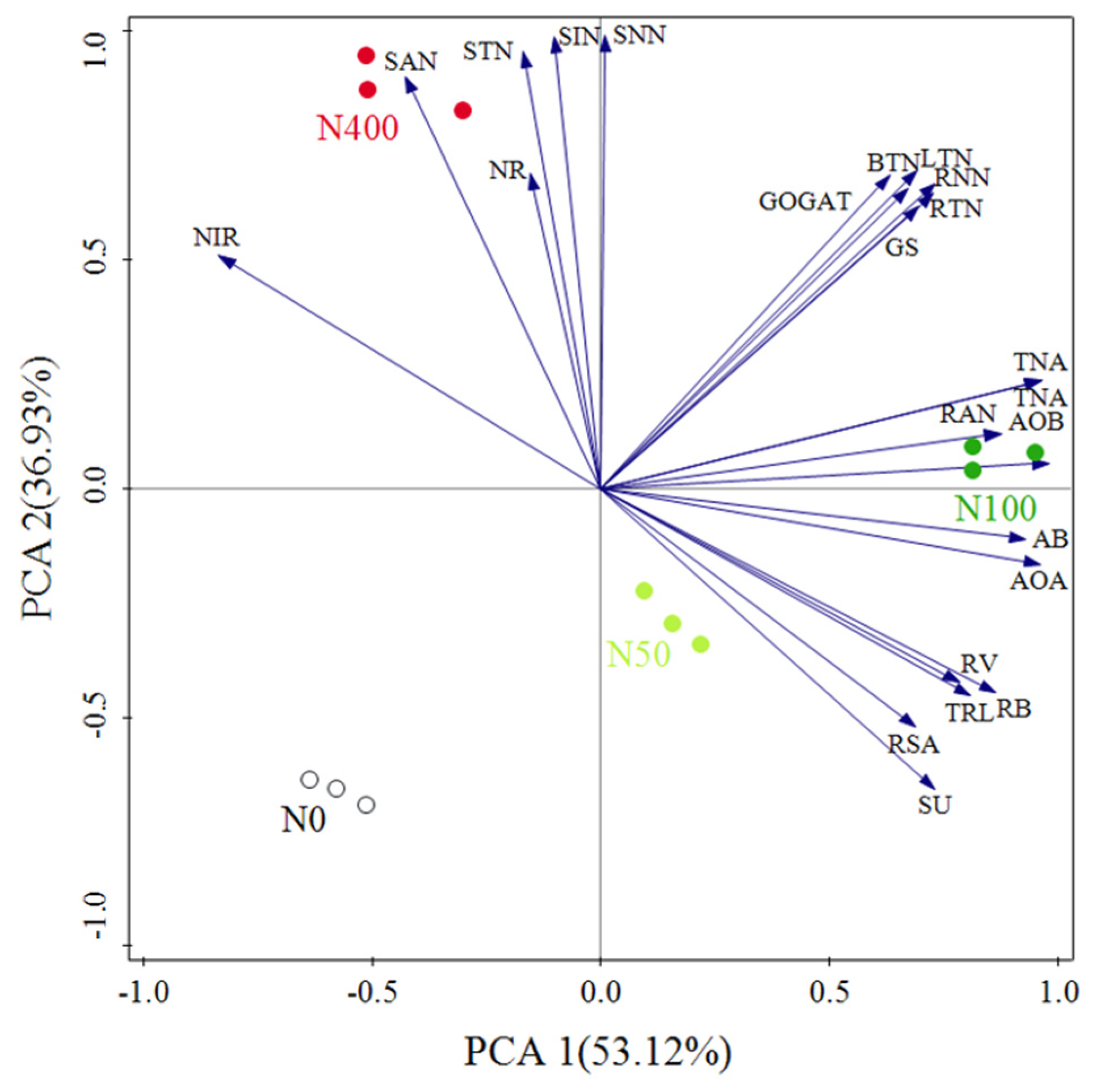 Plants 13 00938 g007