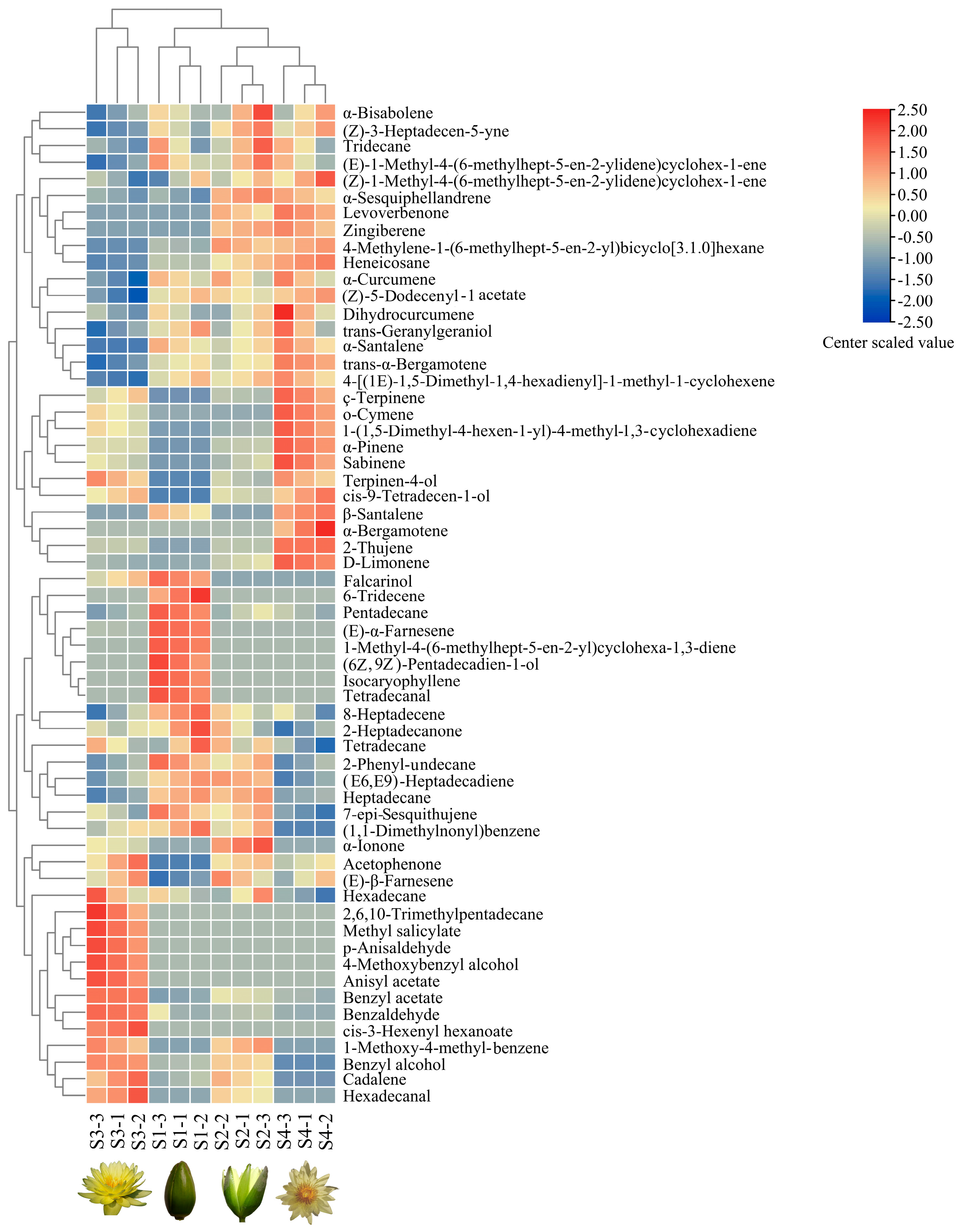 Plants 13 00939 g004