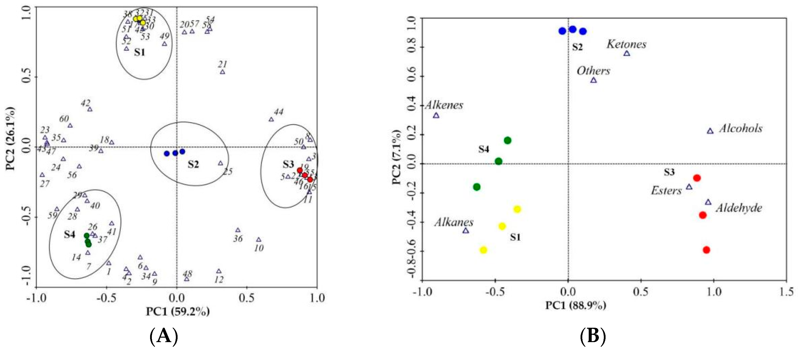 Plants 13 00939 g005