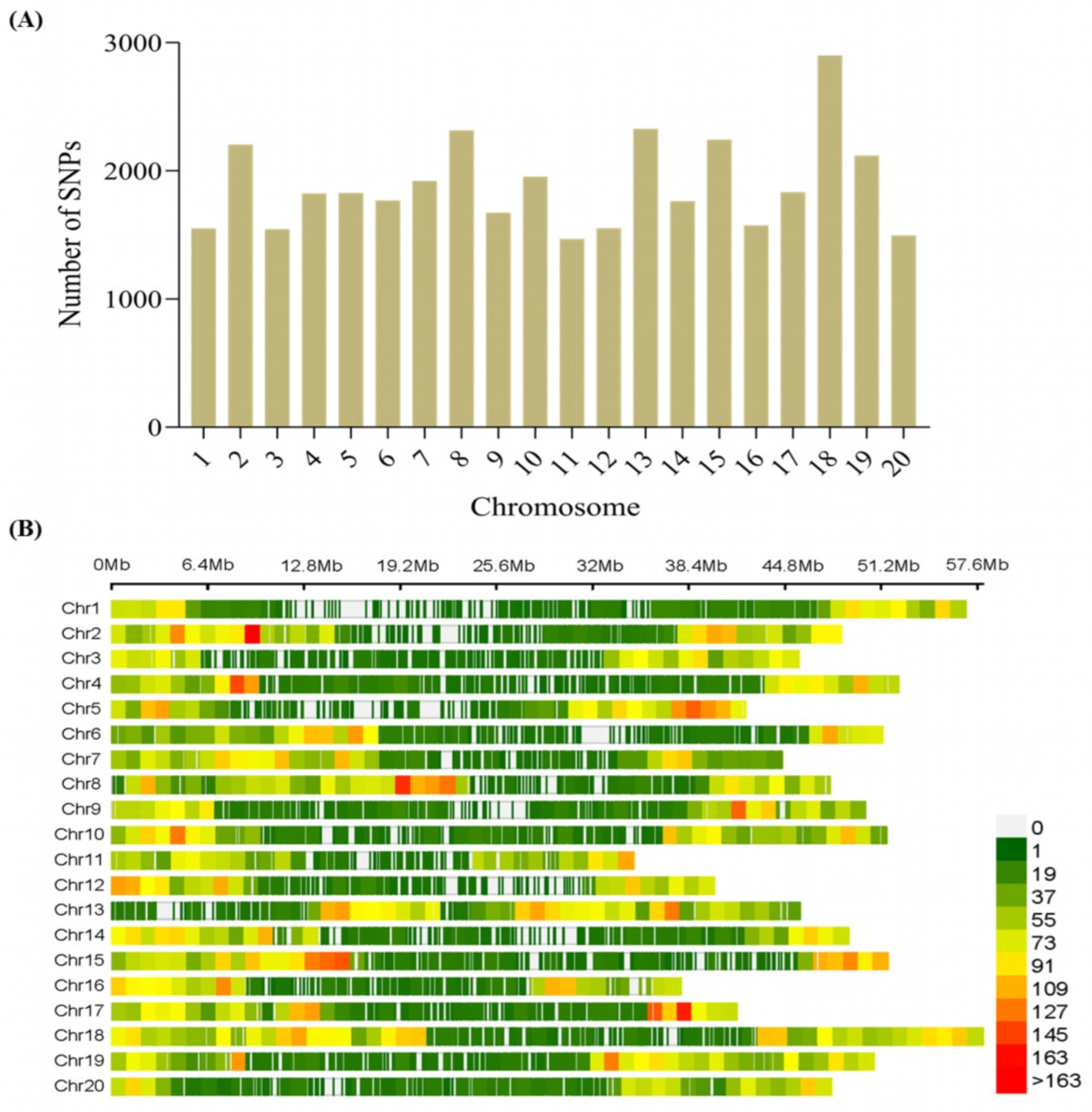 Plants 13 00940 g002