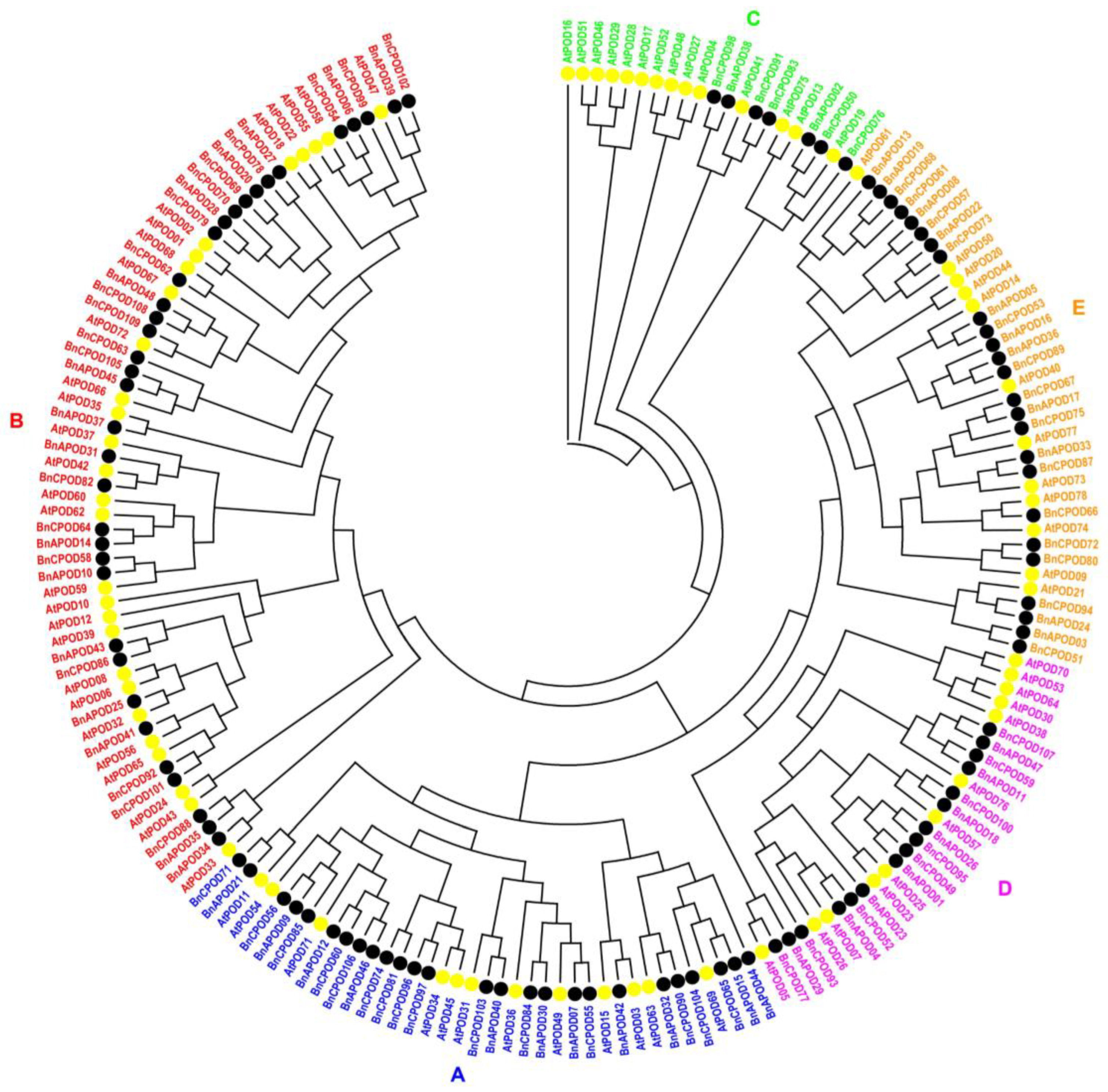 Plants 13 00942 g001