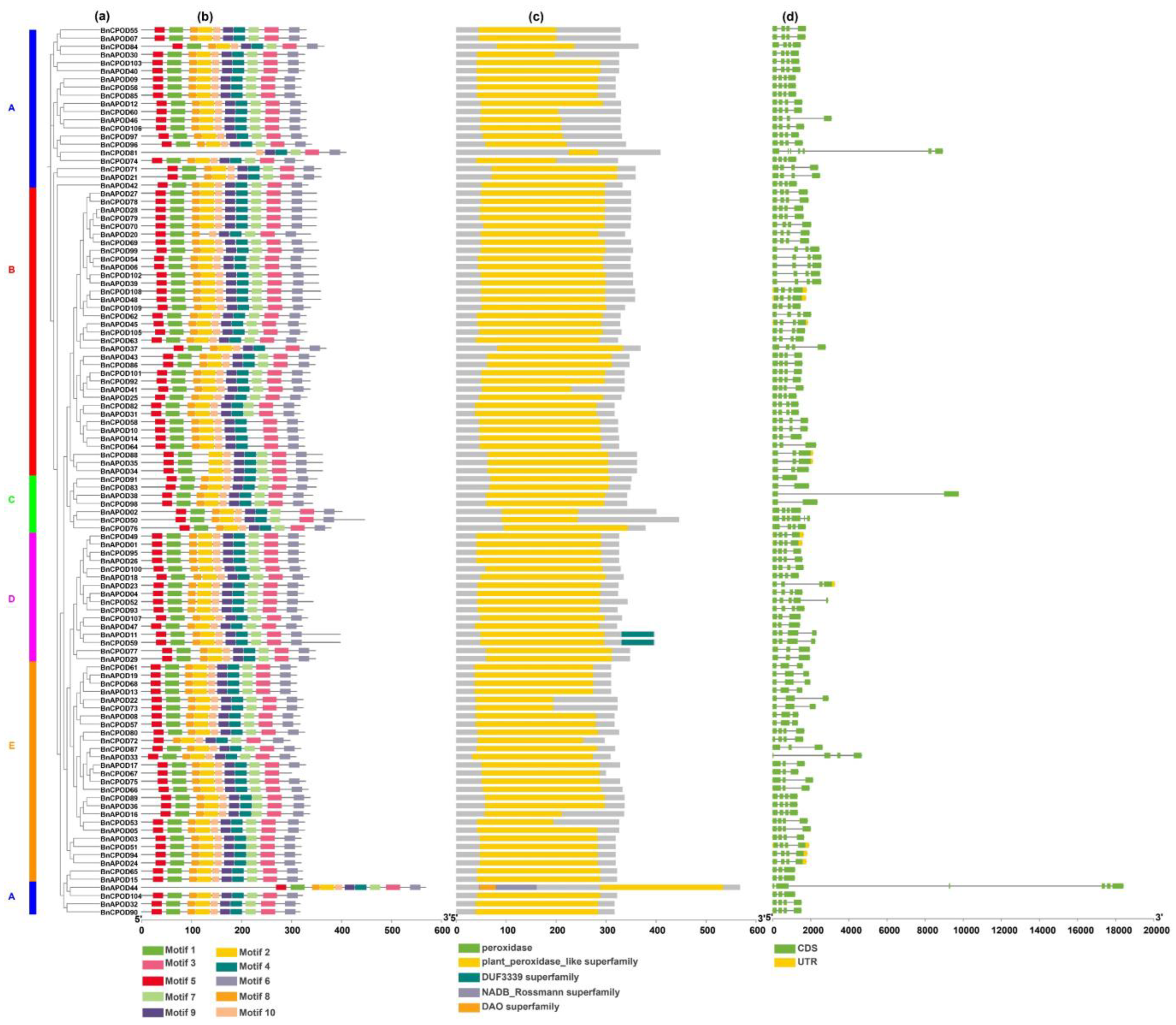 Plants 13 00942 g002
