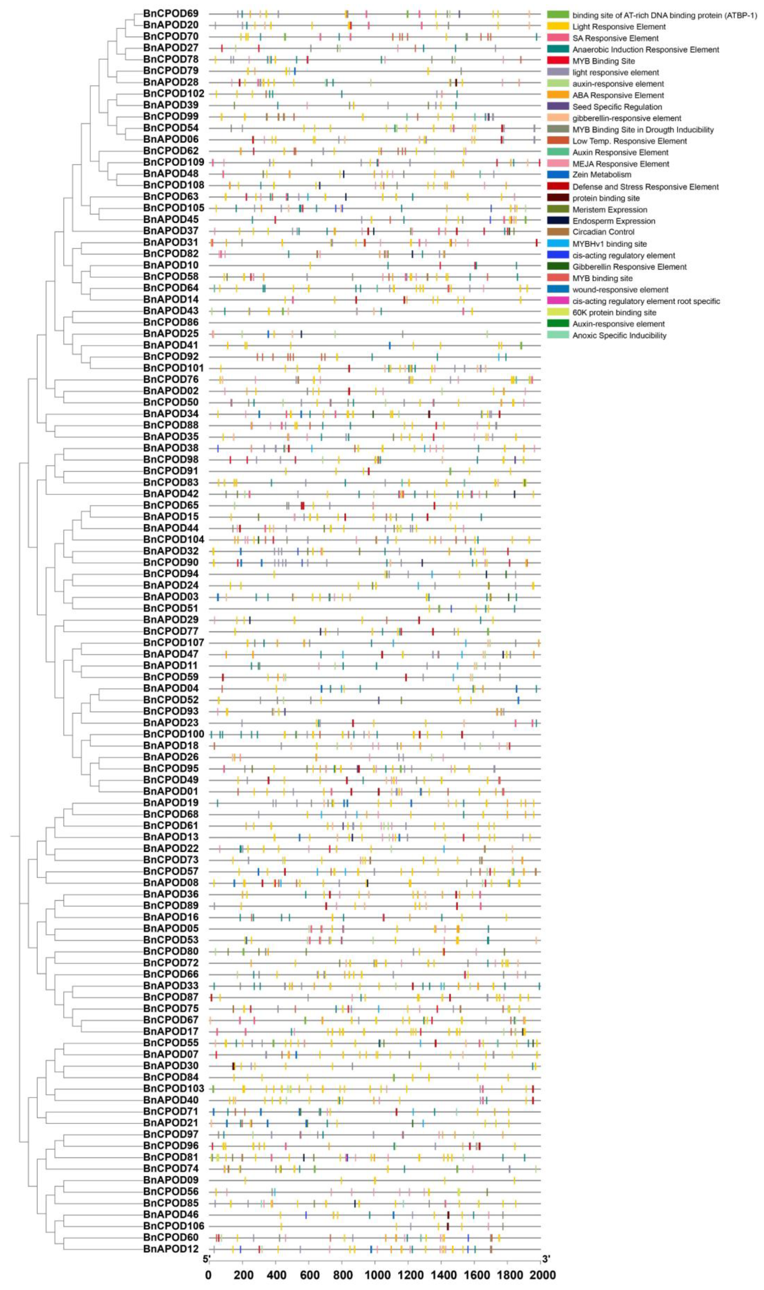 Plants 13 00942 g003