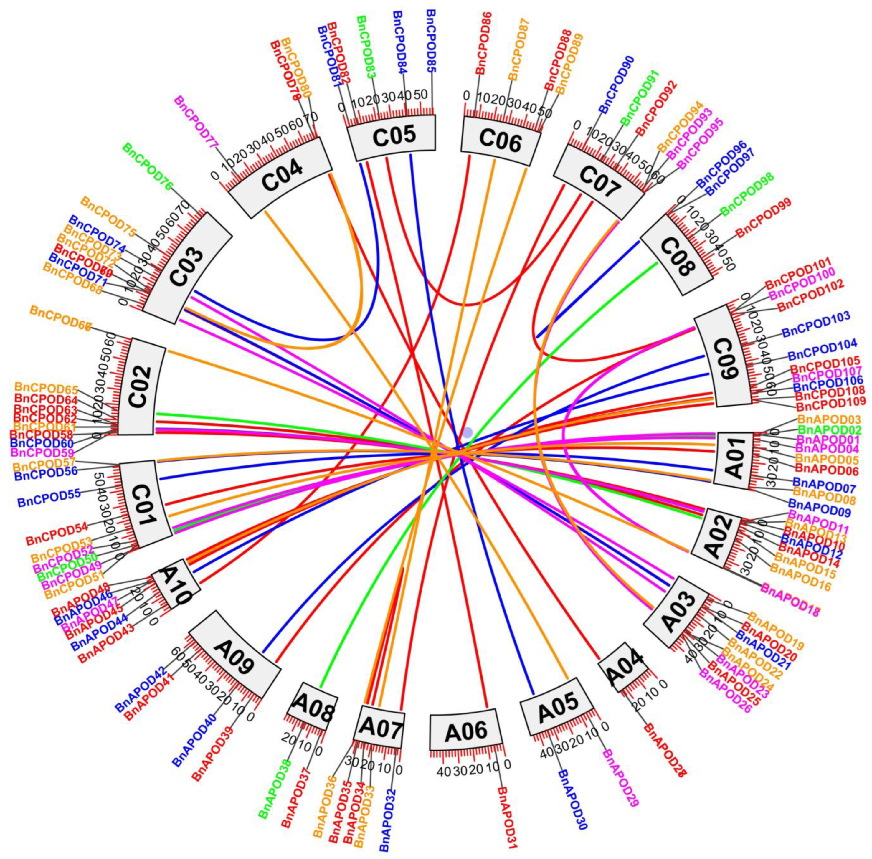 Plants 13 00942 g004