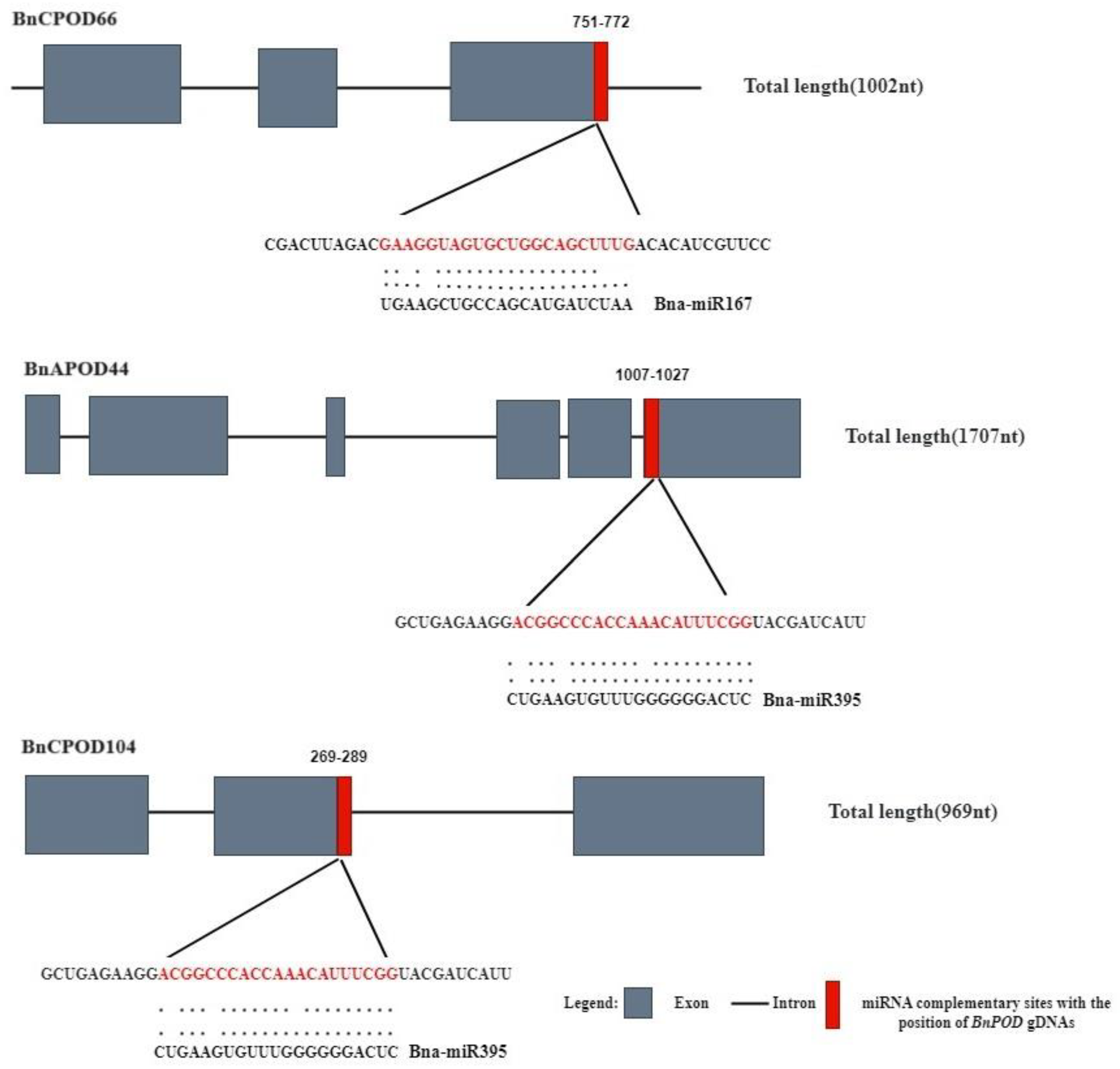 Plants 13 00942 g006