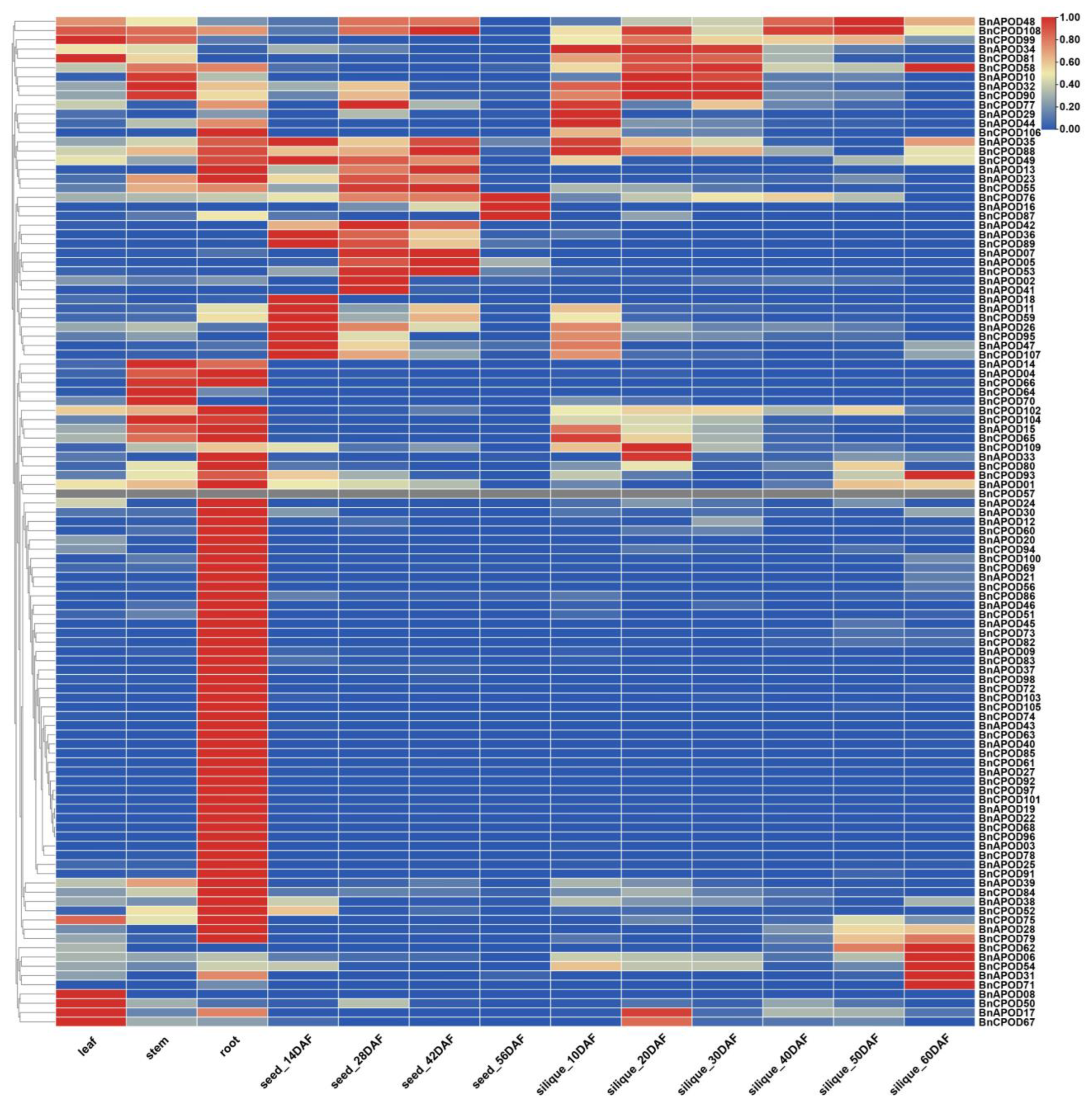 Plants 13 00942 g007